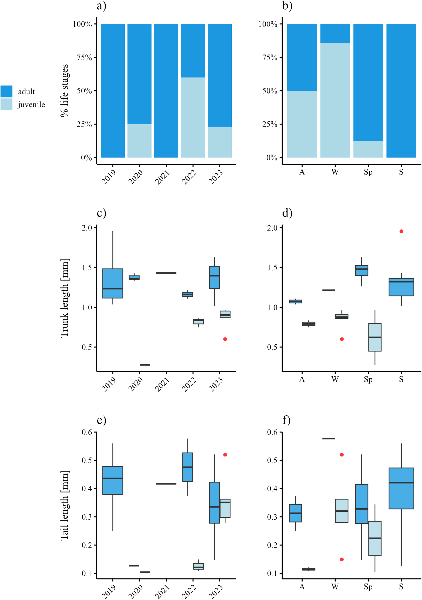 Bar graphs and box plots display life stages and body measurements of *F. borealis*. Graphs a and b show percentages of life stages from 2019 to 2023, and across seasons. Graphs c and d depict trunk length over years and seasons. Graphs e and f show tail length over the same time periods and seasons. Charts indicate variations in adult and juvenile stages, trunk, and tail lengths.