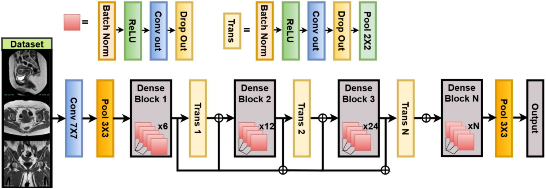Diagram depicting a deep learning architecture for medical imaging. It starts with input images labeled