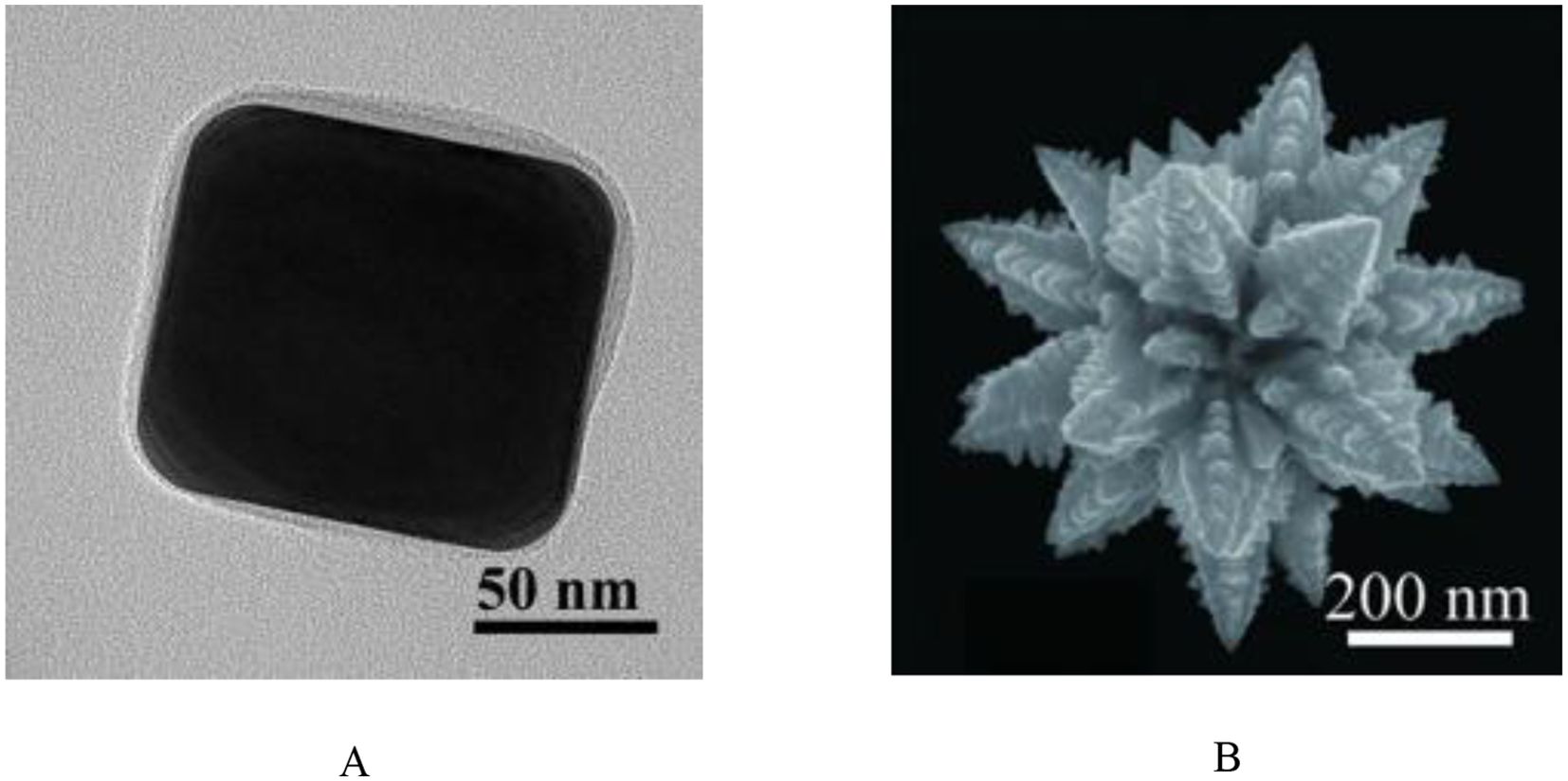 (A) Transmission electron microscopy image of a dark square nanoparticle with rounded corners, measuring 50 nanometers. (B) Scanning electron microscopy image of a complex star-shaped nanostructure with multiple pointed tips, measuring 200 nanometers.