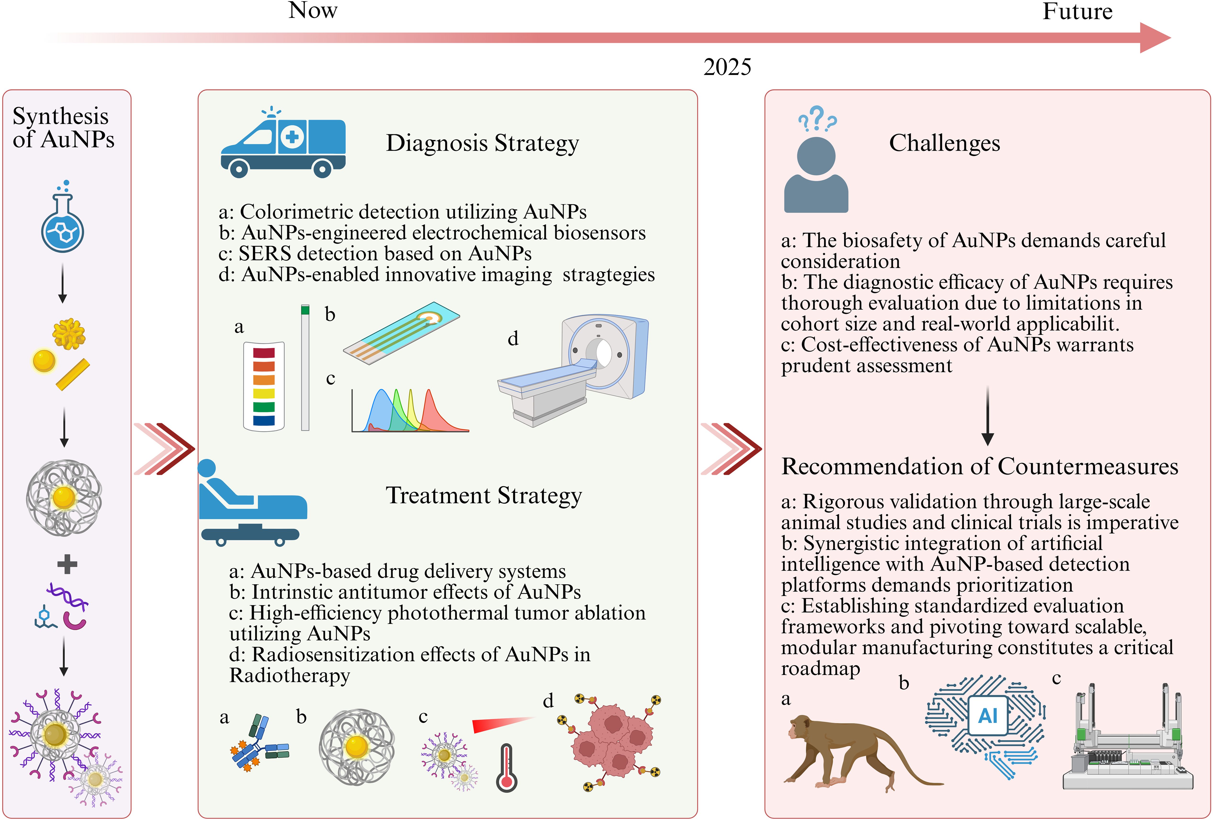 Flowchart illustrating the use of gold nanoparticles (AuNPs) from synthesis to future applications in 2025. Diagnoses strategies include colorimetric detection, electrochemical biosensors, SERS detection, and innovative imaging. Treatment strategies involve drug delivery, antitumor effects, photothermal tumor ablation, and radiosensitization in radiotherapy. Challenges highlighted are biosafety, diagnostic efficacy, and cost-effectiveness. Countermeasures recommend thorough validation, AI integration, and standardized frameworks. Graphical representations of color scales, imaging equipment, and lab icons support each point.