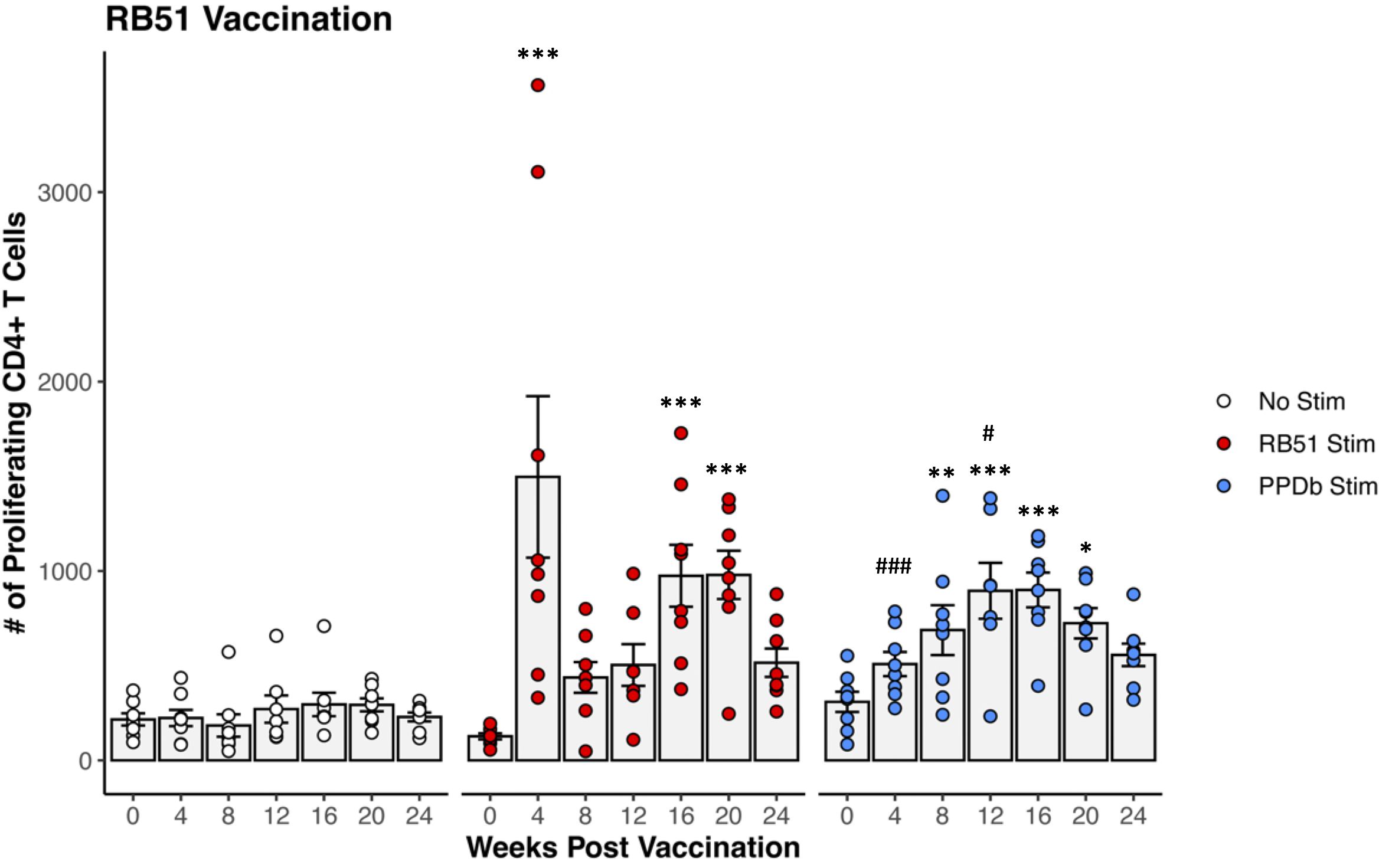 Bar graph showing the number of proliferating CD4+ T cells after RB51 vaccination over 24 weeks. Three groups are compared: No Stim (white), RB51 Stim (red), and PPDb Stim (blue). Significant differences between groups are indicated by asterisks and hashtags, with increased responses noted in the RB51 and PPDb Stim groups, particularly between 4 and 20 weeks.