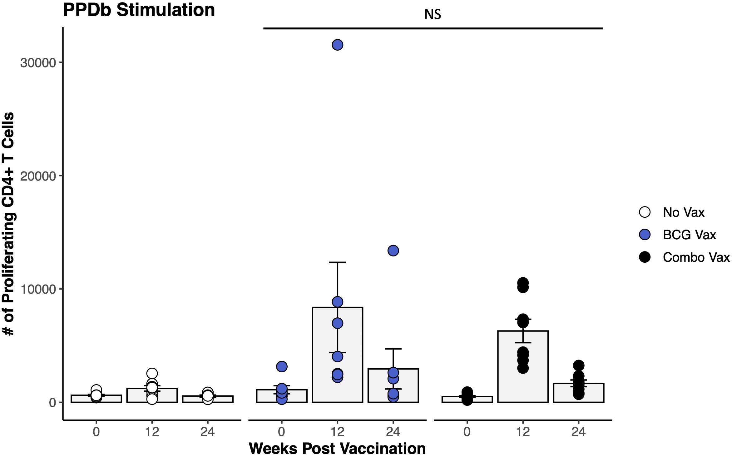 Bar graph showing the number of proliferating CD4+ T cells after stimulation with PPDb across 0, 12, and 24 weeks post-vaccination. Three groups are displayed: No Vax (white), BCG Vax (blue), and Combo Vax (black). At 12 weeks, BCG Vax and Combo Vax show increased proliferation compared to the No Vax group. No significant differences are shown between BCG and Combo Vax groups (NS).