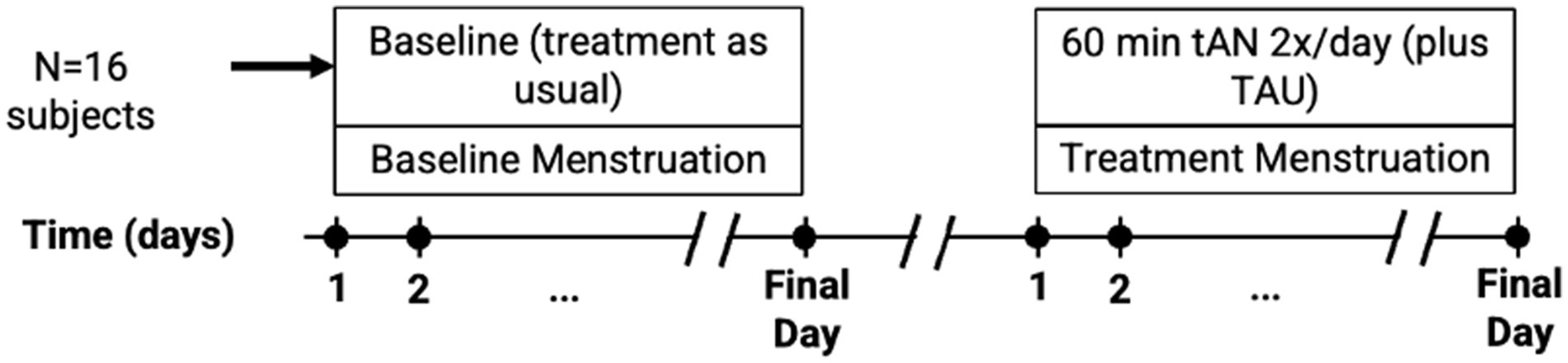 Timeline diagram for a study with 16 subjects. It includes two phases: baseline with treatment as usual (TAU) during menstruation, and a treatment phase with sixty-minute tAN twice daily plus TAU and menstruation. Time is marked in days up to the final day for each phase.