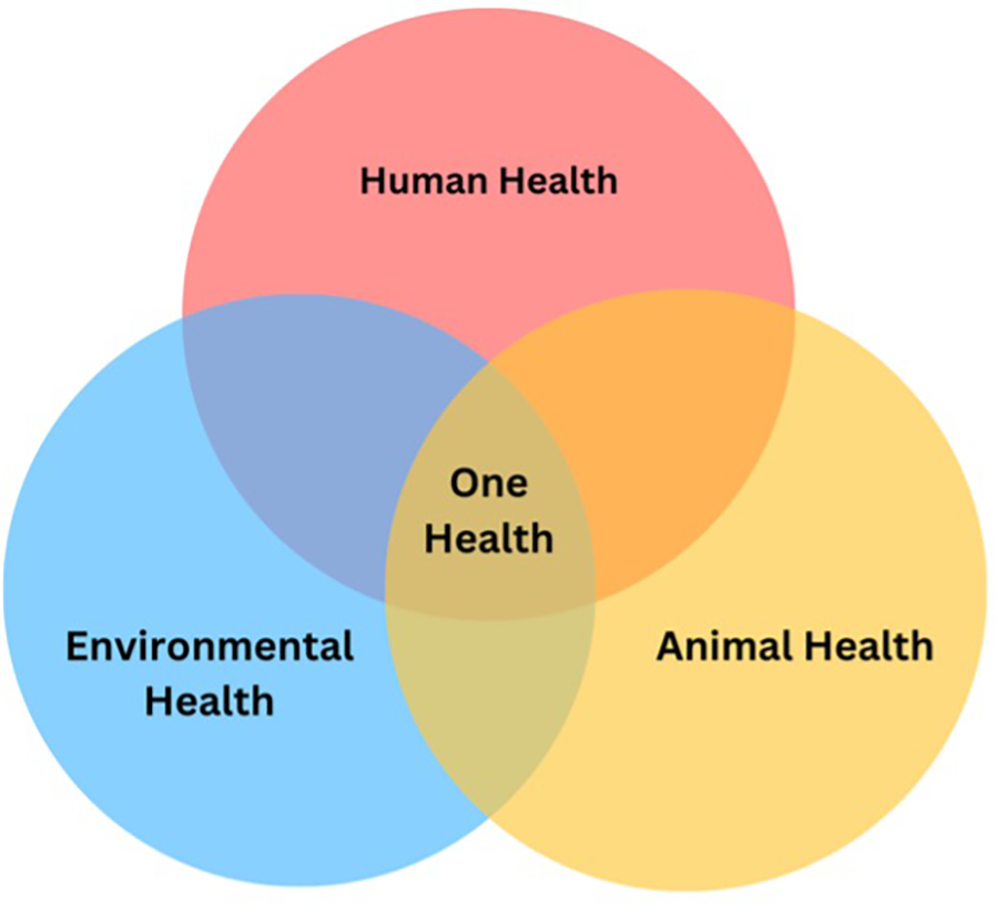 Venn diagram illustrating \"One Health\" at the intersection of three circles: red for \"Human Health,\" blue for \"Environmental Health,\" and yellow for \"Animal Health.\"