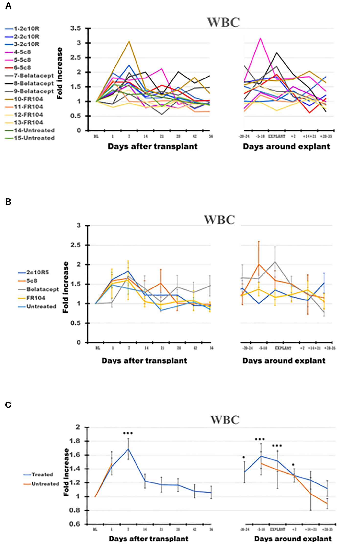 Graphs depict fold increase in white blood cells numbers over time related to transplantation. Panel A shows individual values. Panel B focuses on specific treatments (2c105, 5cB, Belatacept, FR104 compared with Untreated). Panel C compares the means of treated and untreated monkeys. Statistical significance indicated by asterisks.