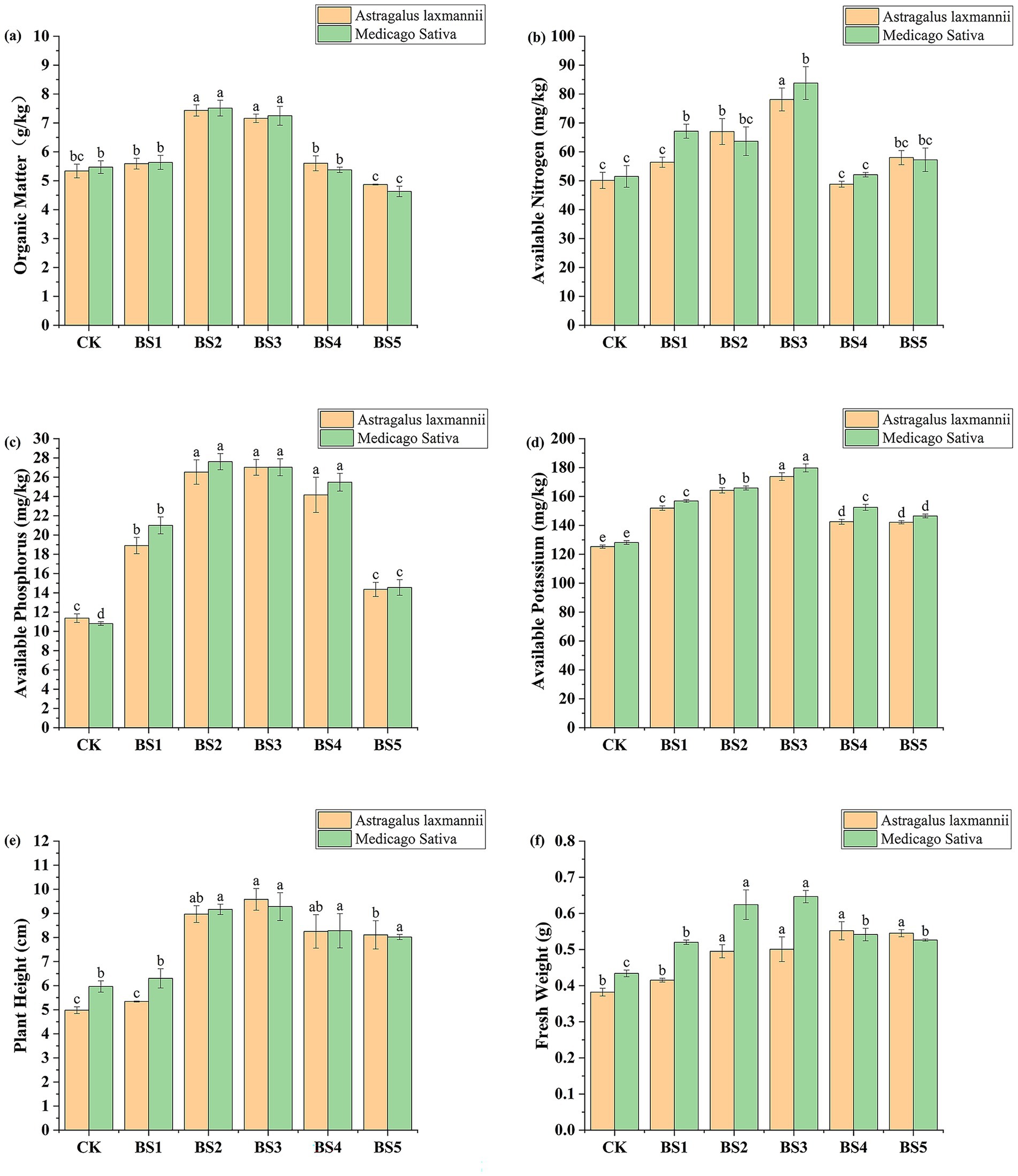 Six bar charts comparing two plant species, *Astragalus laxmannii* and *Medicago sativa*, across various parameters: (a) organic matter, (b) available nitrogen, (c) available phosphorus, (d) available potassium, (e) plant height, and (f) fresh weight. Each chart shows data for CK, BS1, BS2, BS3, BS4, and BS5, with error bars included. Different letters above bars indicate statistical significance.