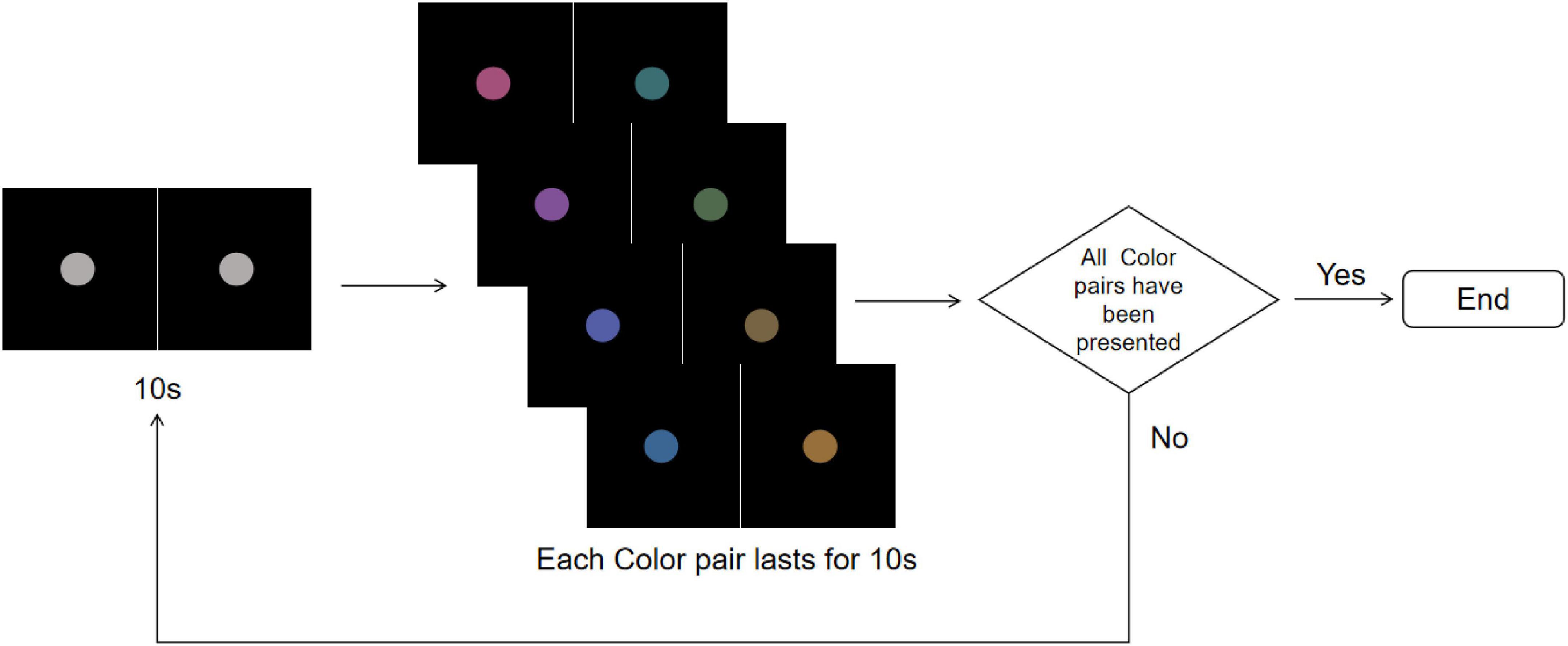 Diagram showing a sequence of color pairs displayed against a black background for 10 seconds each. It starts with two gray dots, followed by various colored pairs, including pink, green, purple, blue, brown, and orange. A decision diamond asks if all color pairs have been presented, leading to an “End” or repeating the sequence.
