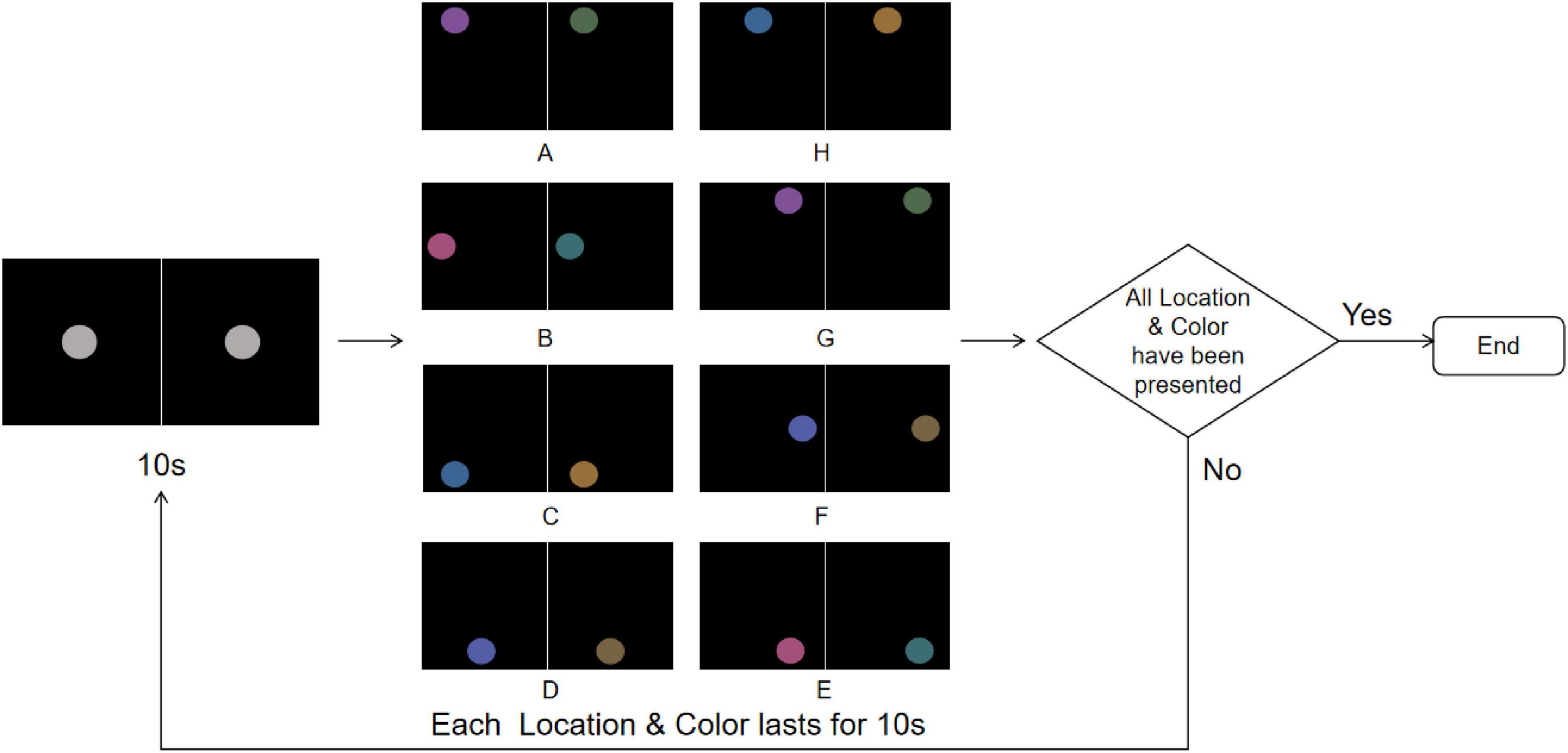Flowchart depicting a sequence of visual stimuli. It starts with two gray circles, each lasting ten seconds. This leads to various colored circles, labeled A to H, each appearing in a black background for ten seconds. A decision diamond follows, asking if all locations and colors have been presented. If yes, it ends; if no, it loops back to the sequence.