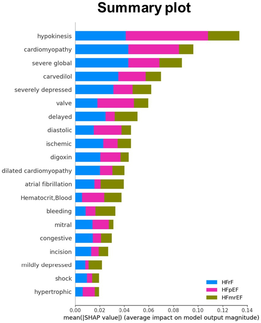The SHAP summary plot showing mean SHAP values for various features indicating their impact on model output. Features include hypokinesis, cardiomyopathy, and severe global, among others. Bars are color-coded: blue for HFrEF, pink for HFpEF, and green for HFmrEF, with hypokinesis having the highest impact.