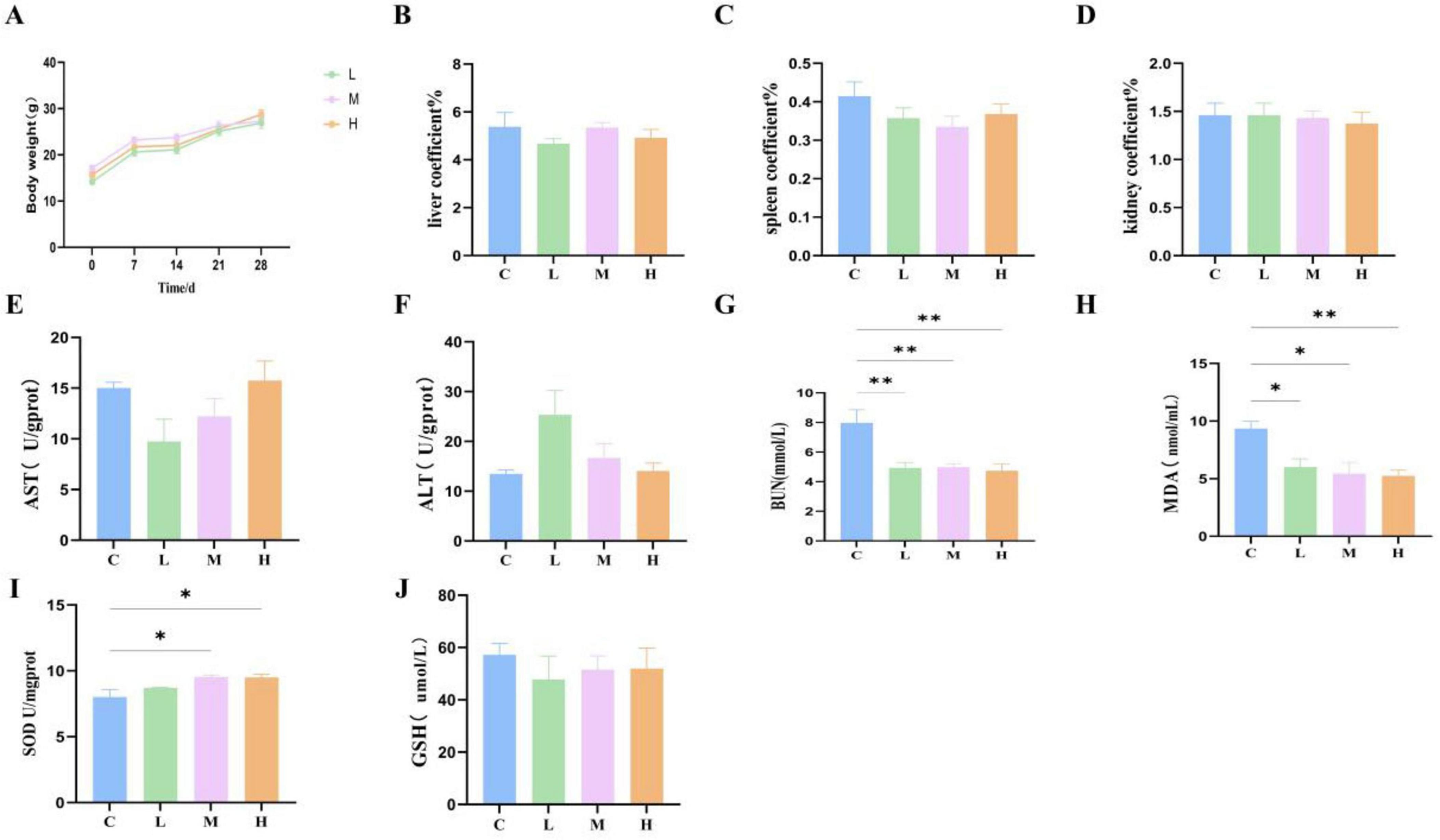 Graphical data showing body weight, organ coefficients, and biochemical markers under different conditions. Graph A displays body weight trends over time. Graphs B-D depict liver, spleen, and kidney coefficients respectively. Graphs E-J show levels of AST, ALT, BUN, MDA, SOD, and GSH. Each graph compares control (C) and experimental groups (L, M, H) with significance indicated by asterisks.