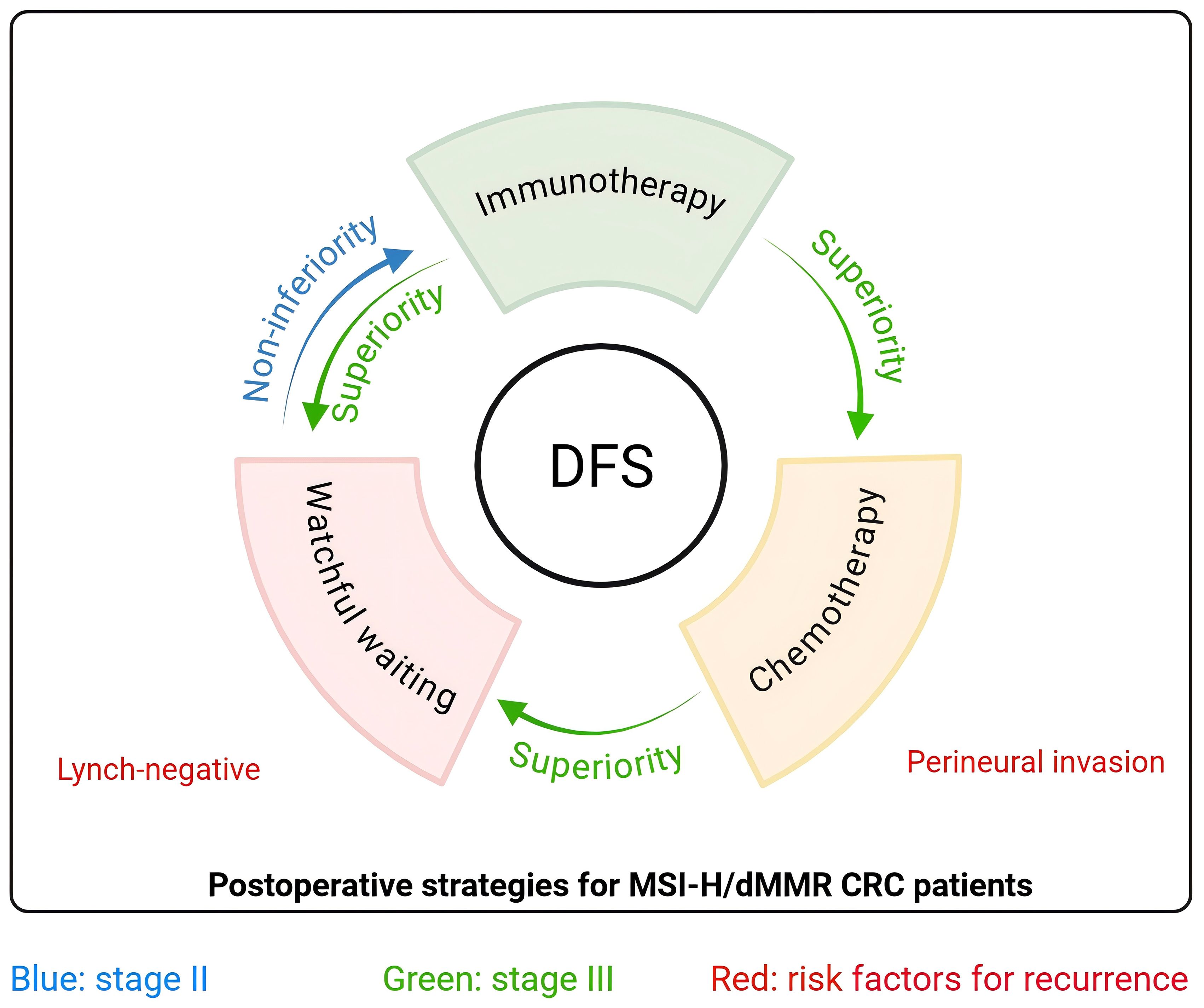 Diagram of postoperative strategies for MSI-H/dMMR CRC patients shows a cycle around “DFS”. Arrows labeled “superiority” connect “Immunotherapy” and “Chemotherapy”. “Non-inferiority” links “Immunotherapy” and “Watchful waiting”. Notations include “Lynch-negative” and “Perineural invasion”. Key: Blue for stage II, green for stage III, and red for recurrence risk factors.