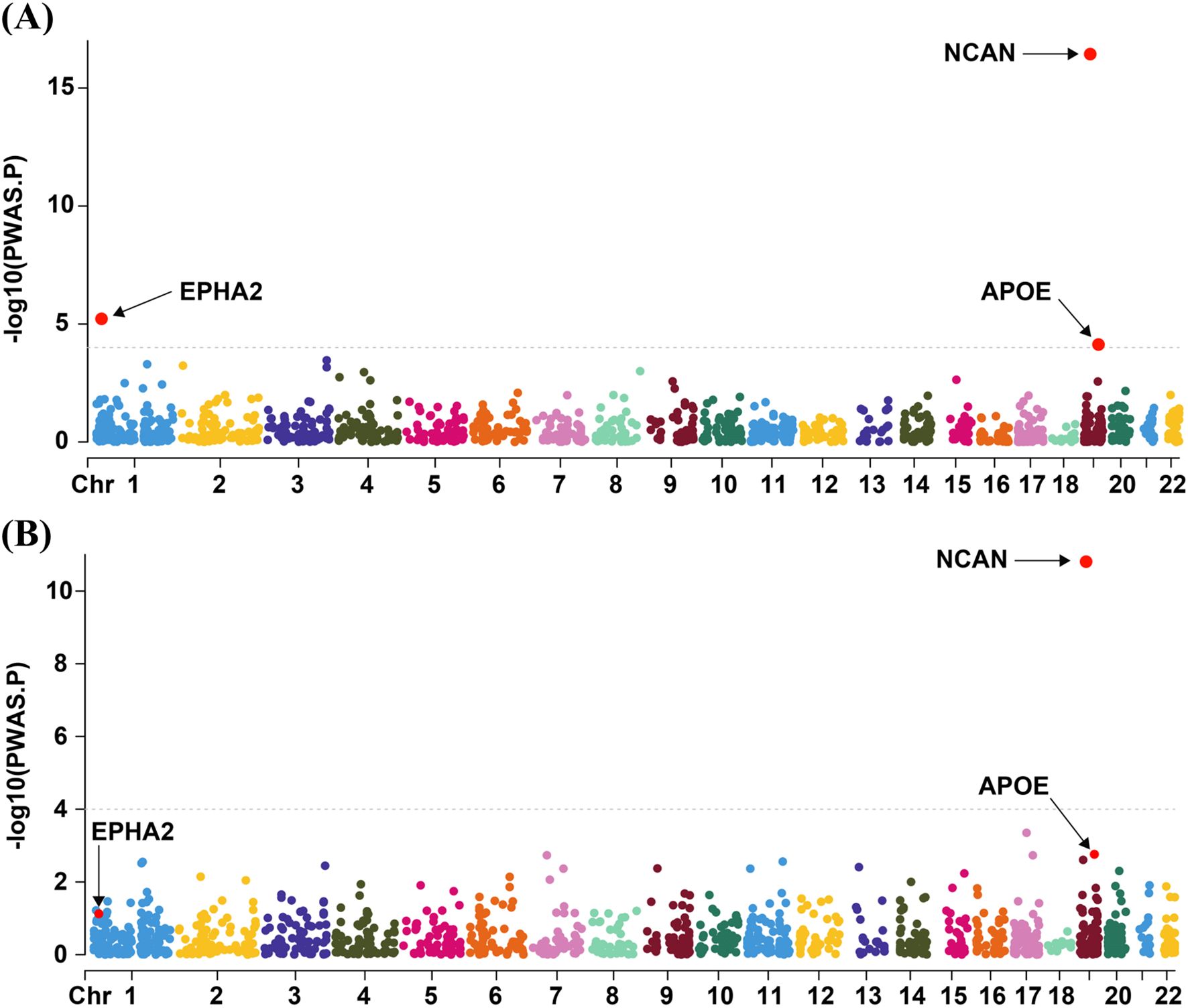 Two graphs labeled (A) and (B) showcasing genetic association data. Each dot represents a genetic marker across chromosomes 1 to 22. The y-axis is labeled “-log10(PWAS.P)”. Significant markers EPHA2, NCAN, and APOE are highlighted. Graph A peaks at chromosome 18 and 19, while graph B shows lower overall peaks. Markers are color-coded by chromosome.