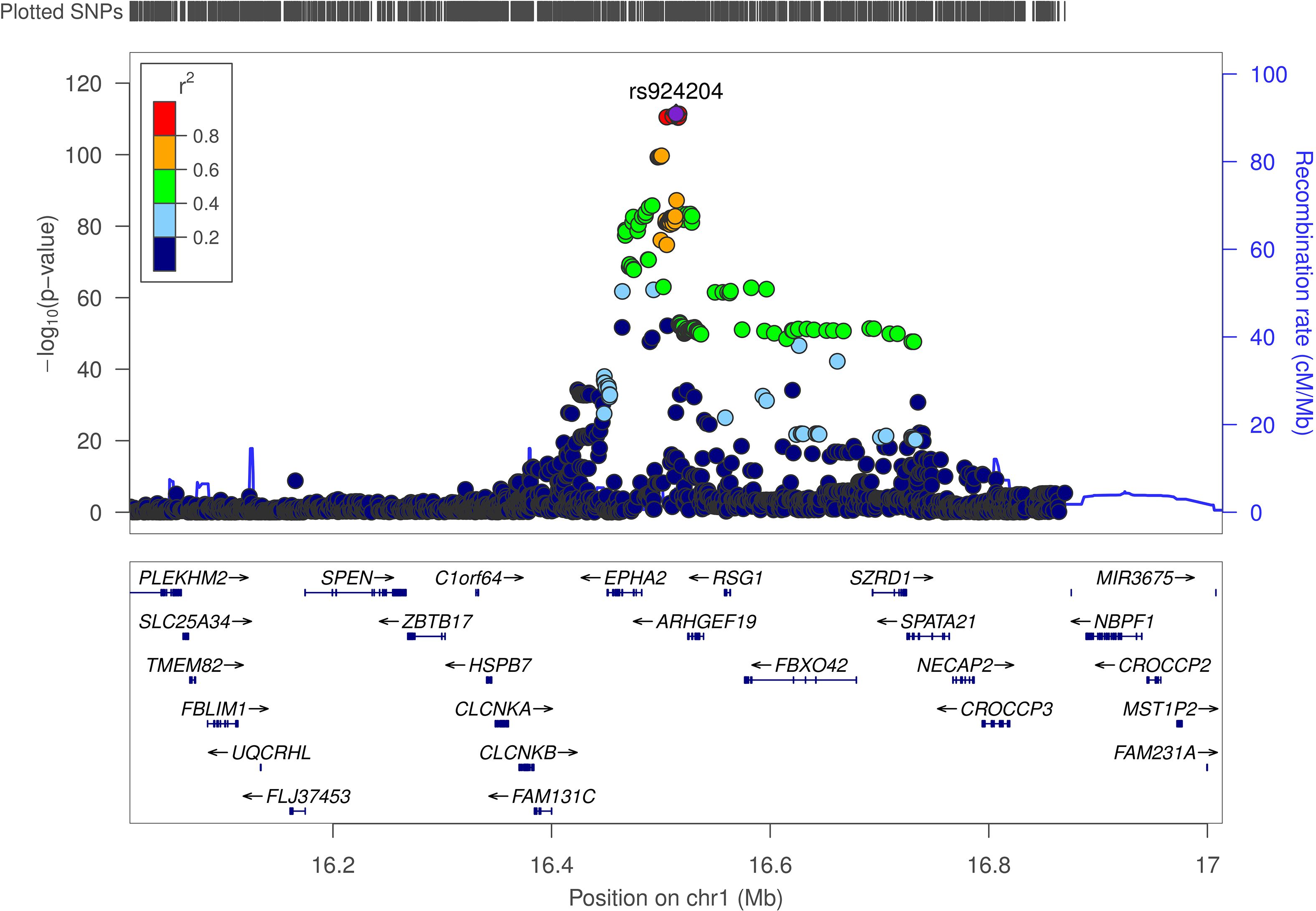 Scatter plot illustrating genetic associations on chromosome 1. The x-axis represents the position in megabases, and the y-axis indicates the negative logarithm of the p-value. Colored dots represent SNPs, with color indicating linkage disequilibrium. Key SNP rs924204 is highlighted. A gene diagram below shows relevant gene locations. A recombination rate line is plotted alongside.