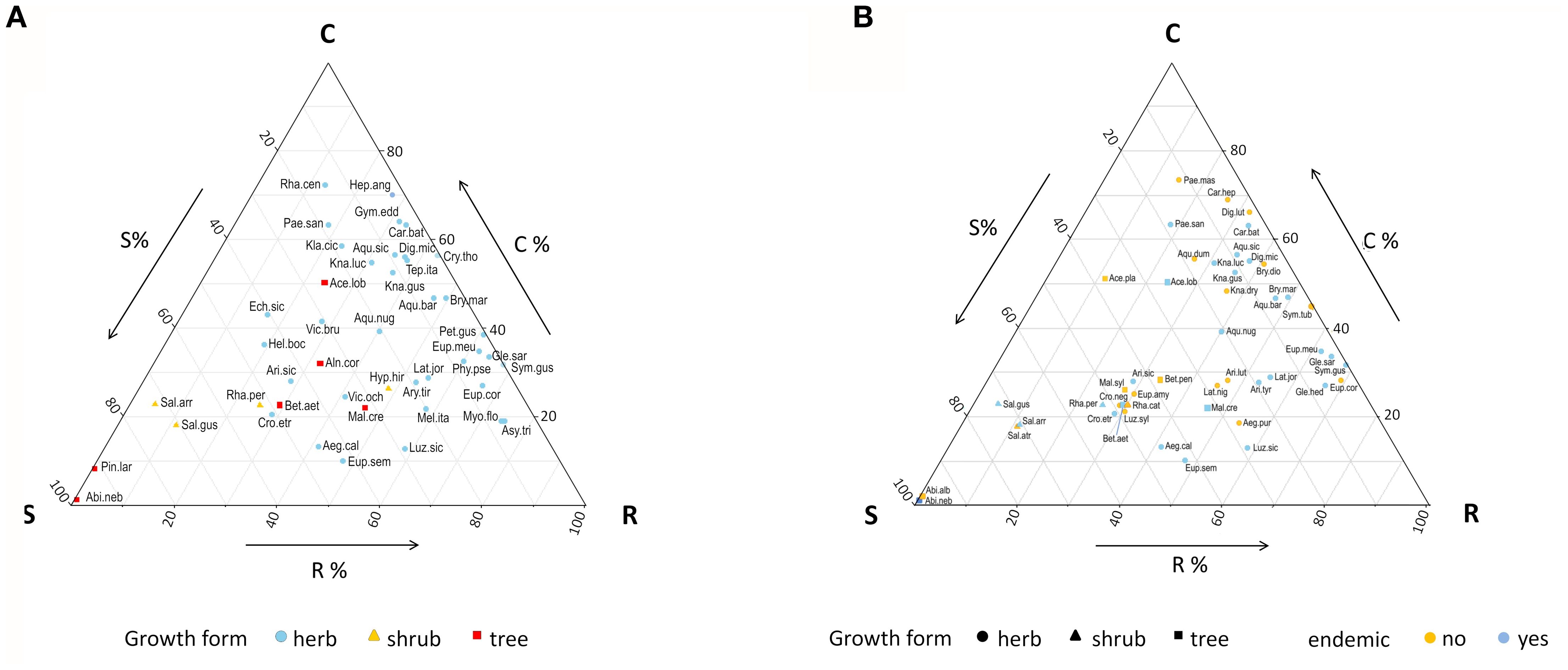 Two triangular diagrams labeled A and B display the proportions of categories R (ruderality), S (stress tolerance), and C (competitivity) in percentage terms. Diagram A categorizes growth forms as herb (blue circles), shrub (yellow triangles), and tree (red squares). Diagram B categorizesspecies as endemic (yellow) and non-endemic (blue). Each diagram is populated with abbreviated labels representing different species. Axes are labeled R%, S%, and C% accordingly.