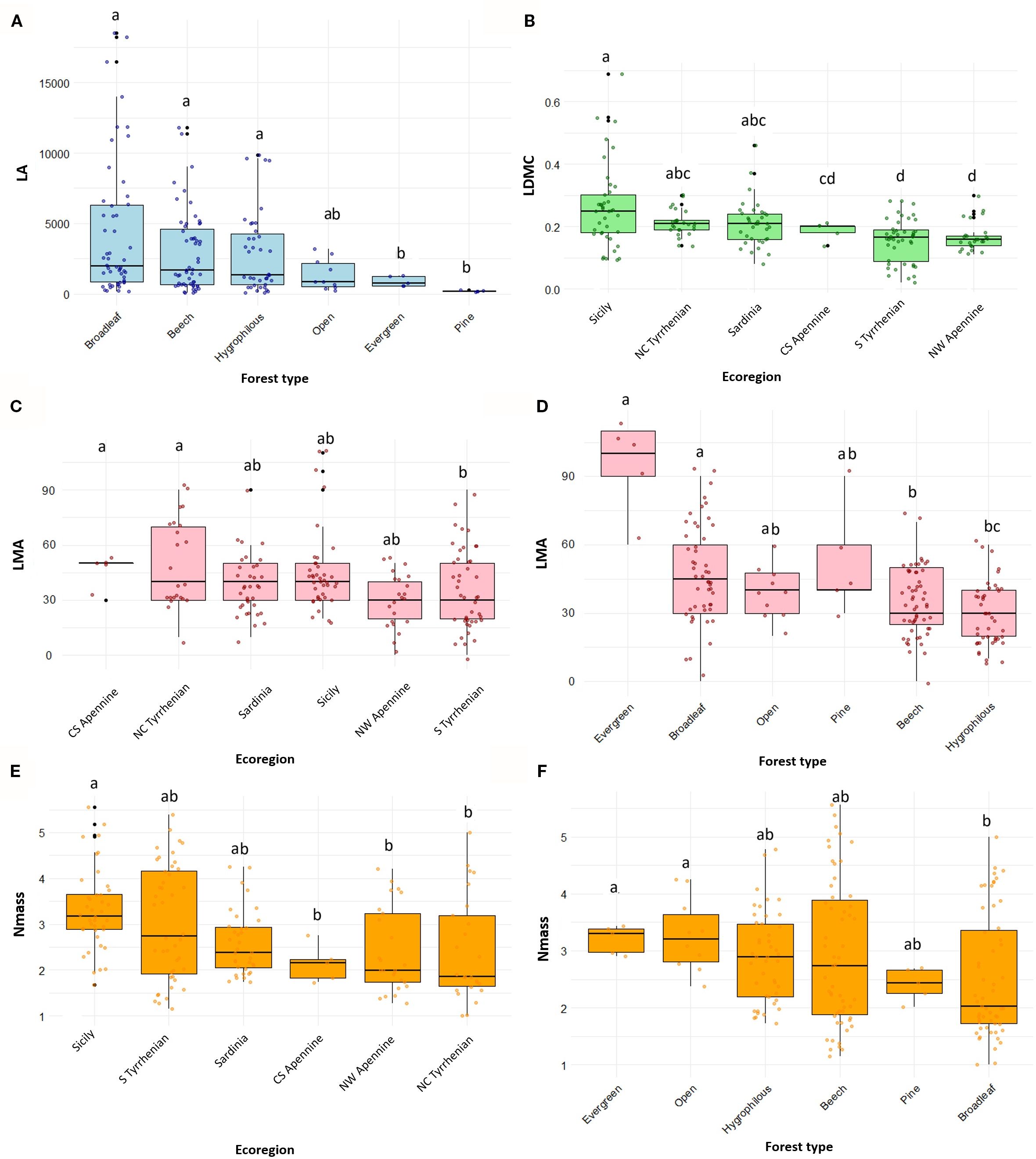 Box plots showing various plant traits across different forest types and ecoregions. A) Leaf Area (LA) by forest type, with broadleaf and beech showing higher medians. B) Leaf Dry Matter Content (LDMC) by ecoregion, with Sicily showing the highest median. C) and D) Leaf Mass per Area (LMA) by ecoregion and forest type, with CS Apennine and evergreen forest showing higher medians, respectively. E) and F) Nitrogen Mass (Nmass) by ecoregion and forest type, with Sicily and broadleaf forests showing higher medians. Different letters denote statistically significant differences.
