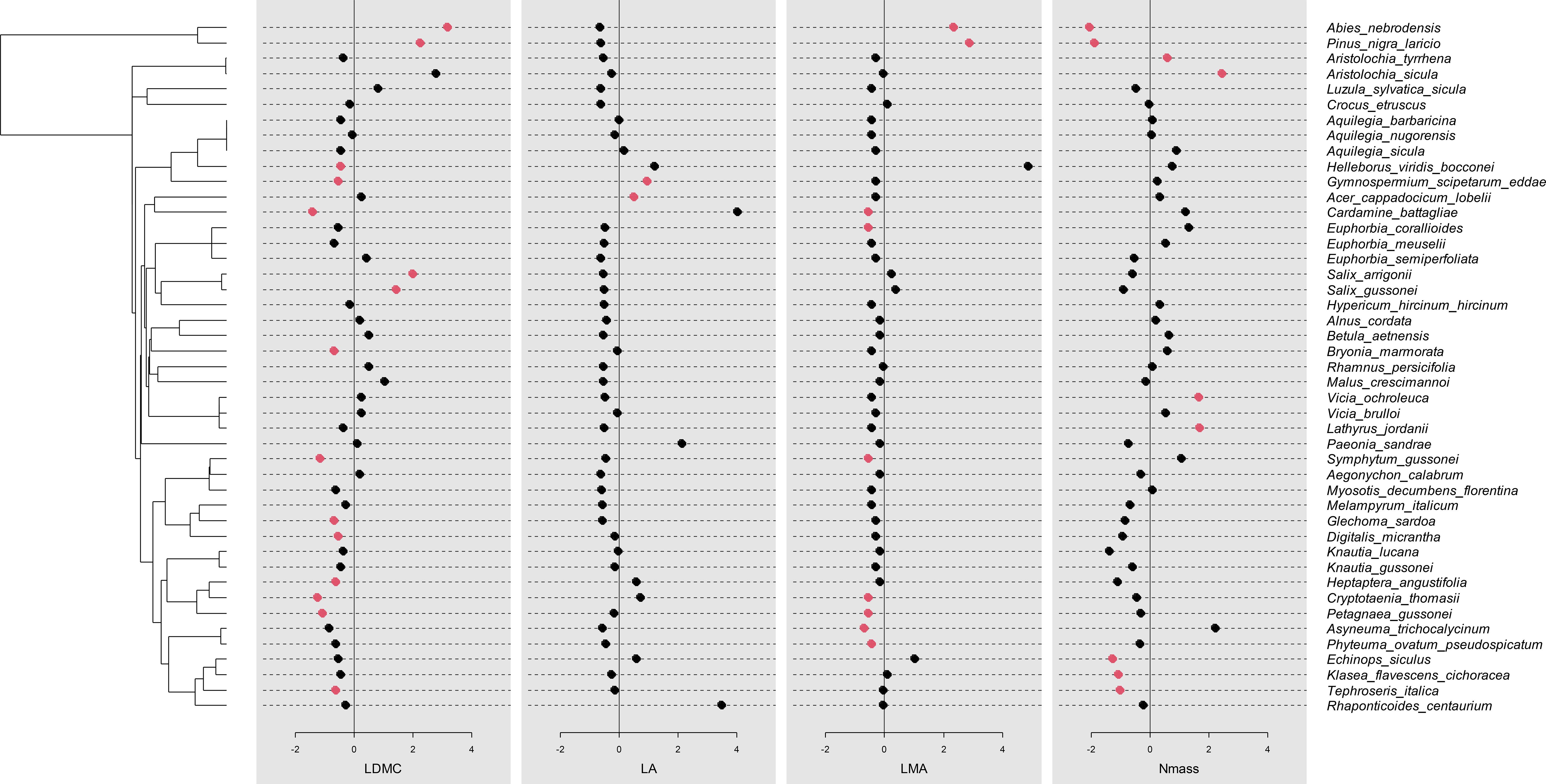 A cluster dendrogram and four dot plots showing species relationships and trait values. The dendrogram, on the left, connects various plant species listed on the right. The four plots depict values for LDMC, LA, LMA, and Nmass, with black and red dots representing different species measurements. The x-axis ranges from negative two to four.