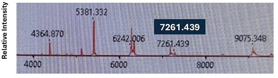 Mass spectrometry graph showing peaks at specific intensities: 4364.870, 5381.332, 6242.006, 7261.439, and 9075.348, with the highest peak labeled 7261.439. The x-axis represents mass-to-charge ratio, and the y-axis represents relative intensity.