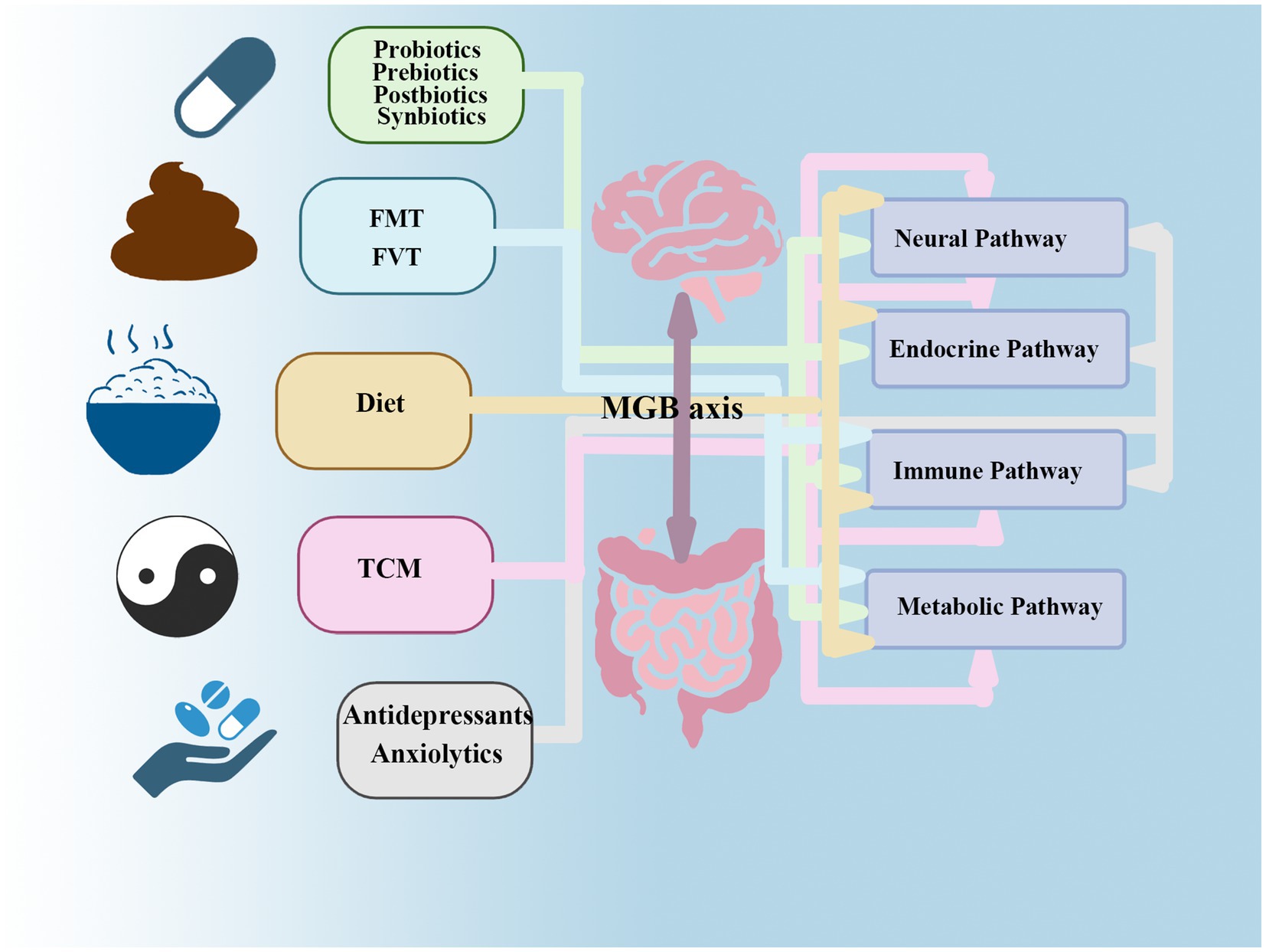 Diagram of the microbiota-gut-brain (MGB) axis showing connections between diet, probiotics, prebiotics, traditional Chinese medicine (TCM), fecal microbiota transplants (FMT), and antidepressants with neural, endocrine, immune, and metabolic pathways, represented by arrows linking the brain and gut.