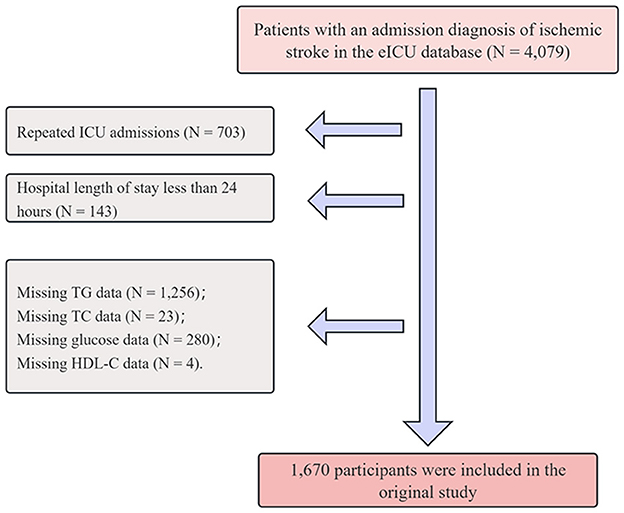 Flowchart depicting the exclusion criteria for a study on ischemic stroke patients in the eICU database. Out of 4,079 patients, exclusions include repeated ICU admissions (703), hospital stays under 24 hours (143), missing TG data (1,256), missing TC data (23), missing glucose data (280), and missing HDL-C data (4). Final inclusion was 1,670 participants.