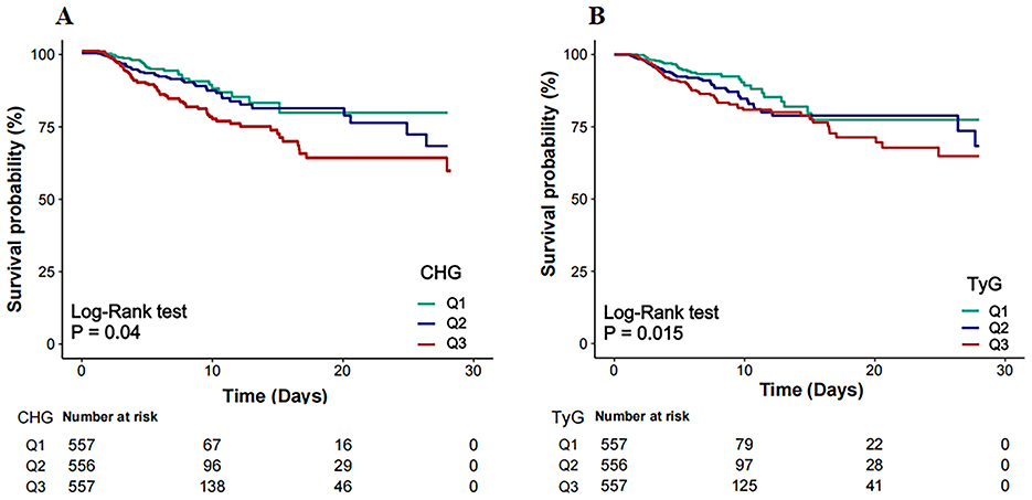 Two Kaplan-Meier survival curves are shown. Chart A displays CHG data, and chart B displays TyG data. Both charts show survival probability over 30 days with three groups: Q1 (blue), Q2 (green), and Q3 (red). Significant differences are indicated by log-rank tests with p-values of 0.04 and 0.015, respectively. A table below each chart shows the number of subjects at risk at various time points.