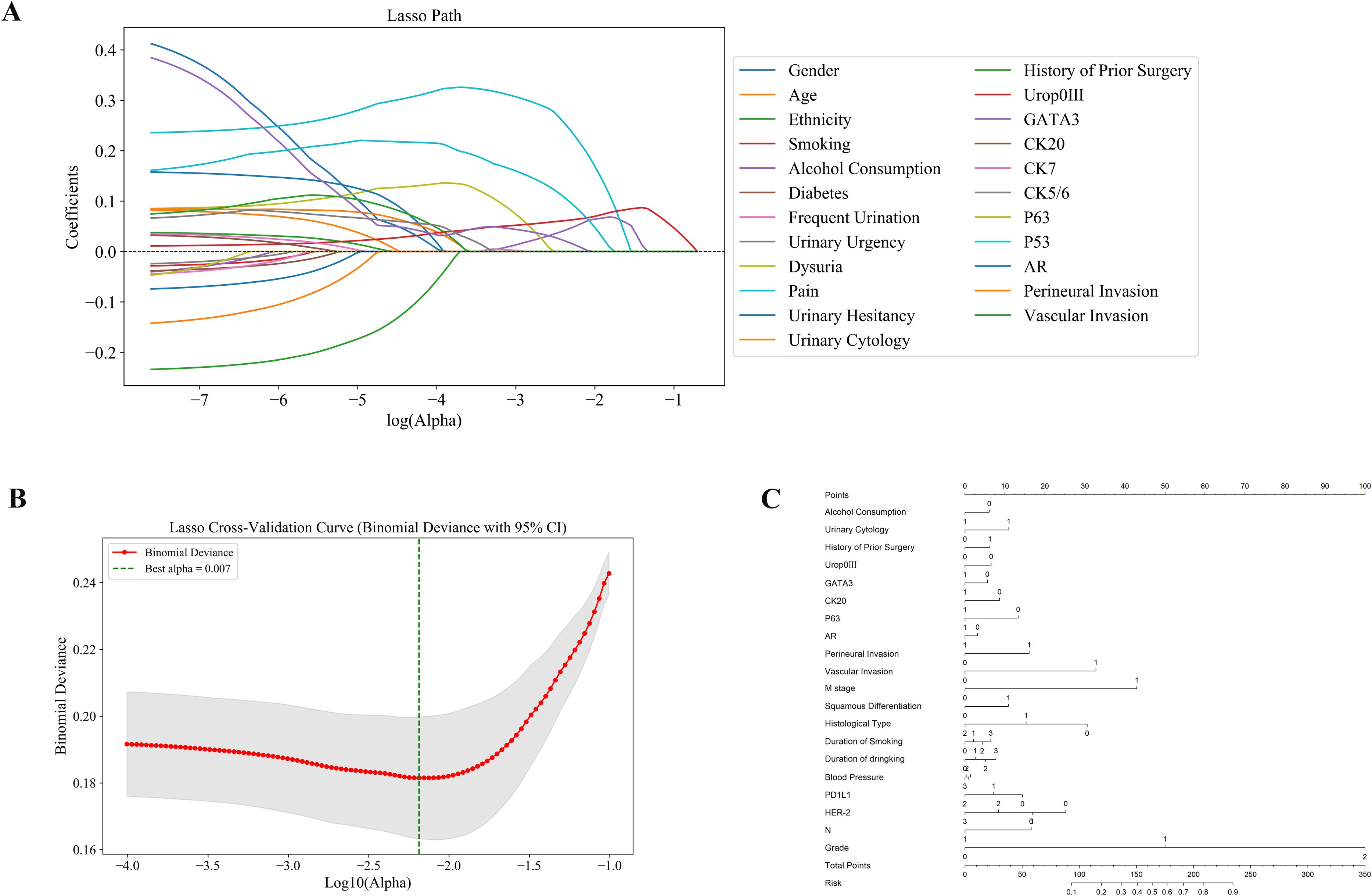 Three panels illustrate a medical statistical analysis. Panel A shows a Lasso Path graph with coefficients against log(Alpha) for various health factors like age and smoking. Panel B presents a Lasso Cross-Validation Curve with binomial deviance against Log10(Alpha), highlighting the best alpha at 0.007. Panel C displays a point-based risk assessment chart, listing factors such as alcohol consumption and M stage, contributing to total risk scores.