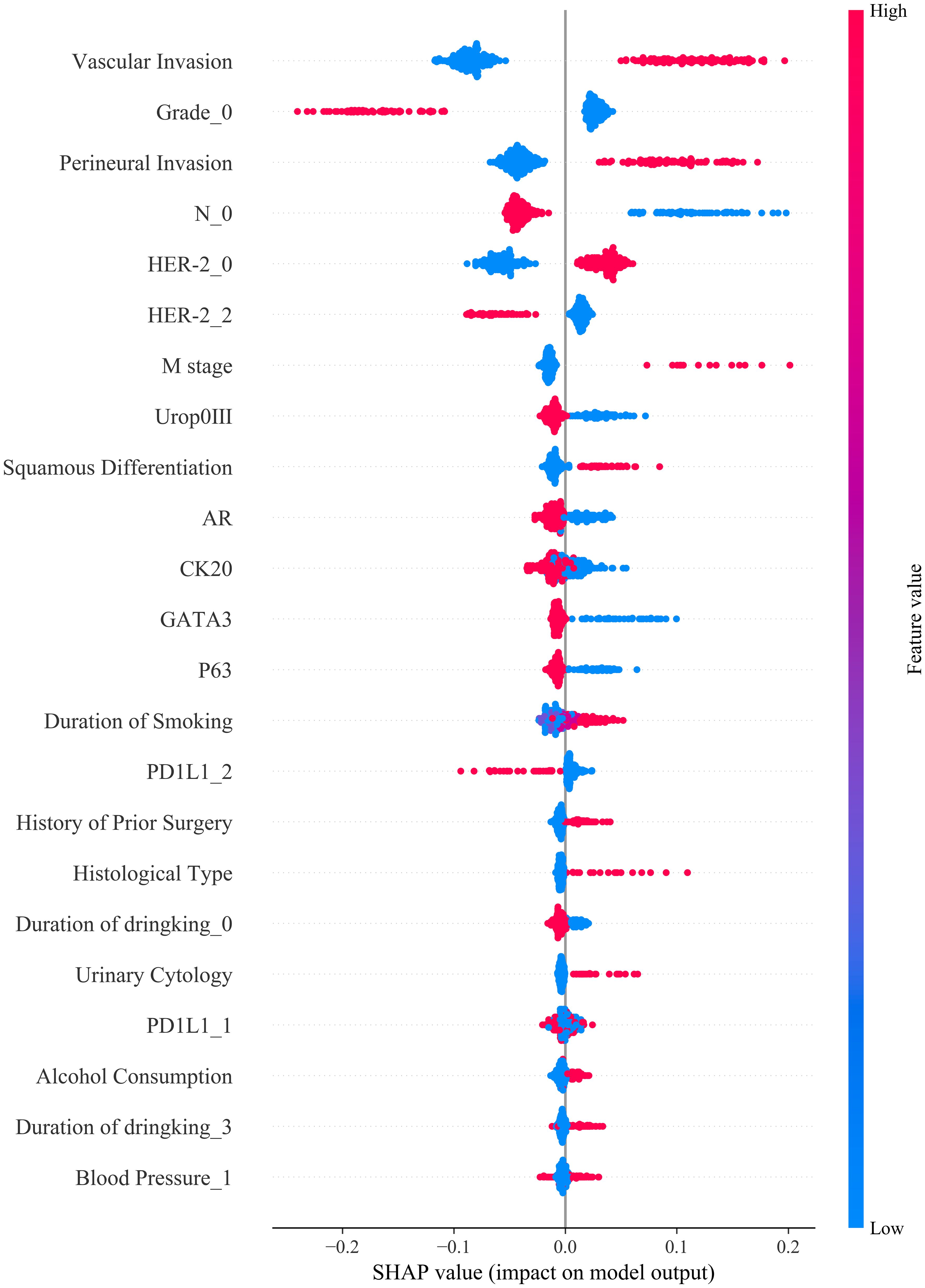SHAP summary plot showing the impact of various features on model output. Features on the y-axis include Vascular Invasion, Grade, and others. The x-axis represents SHAP values. Points are colored by feature value, transitioning from blue (low) to red (high).