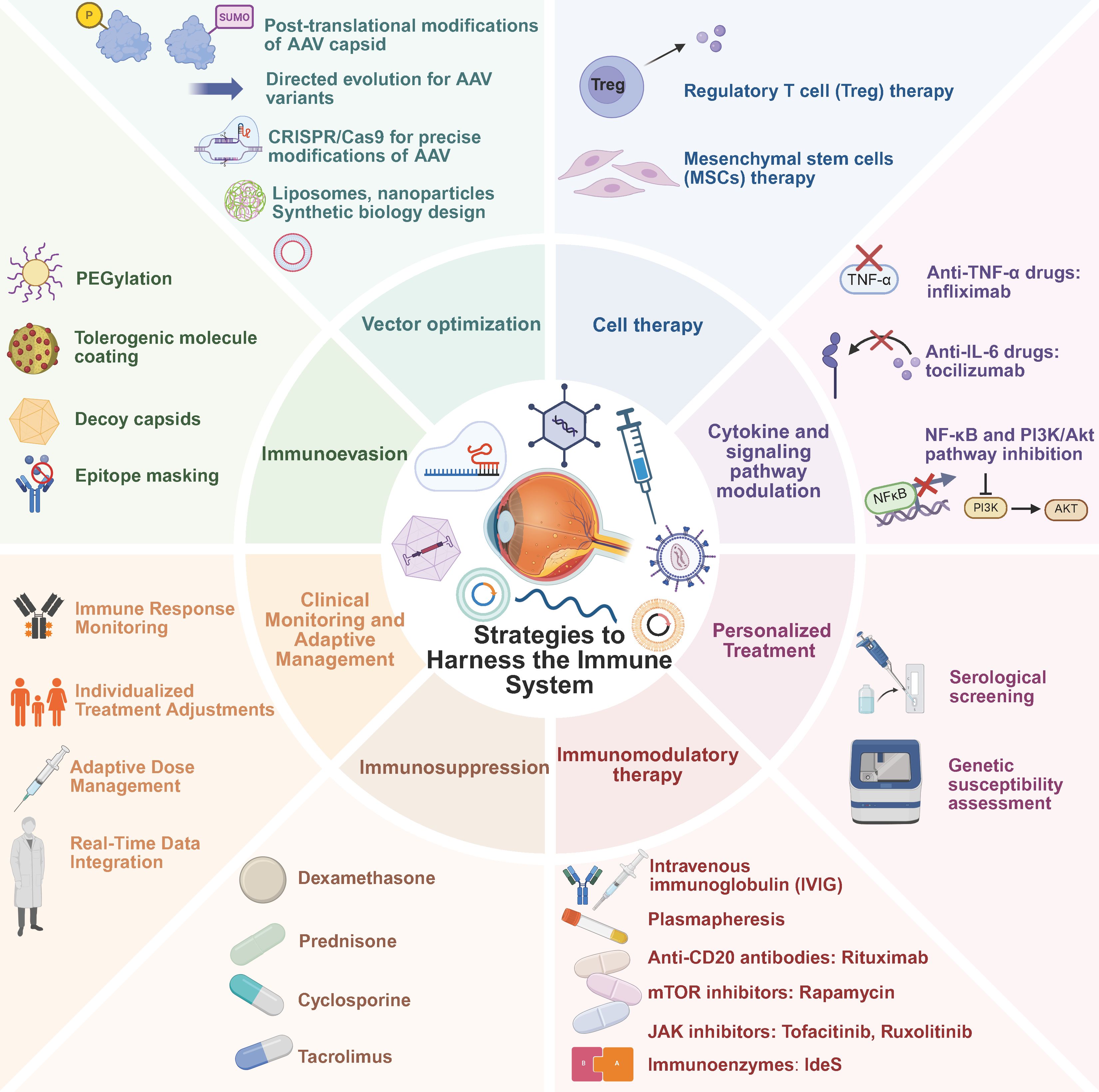 Diagram presenting strategies to harness the immune system, divided into six segments: Post-translational modifications and vector optimization; Cell therapy; Cytokine and signaling pathway modulation; Personalized treatment; Immunomodulatory therapy; Immunosuppression; and Clinical monitoring and adaptive management. Each segment lists specific methods, such as CRISPR/Cas9, Treg therapy, anti-TNF drugs, serological screening, IVIG, and dexamethasone, illustrating diverse approaches to manage immune responses. Central image shows a stylized structure of an eye, syringe, DNA helix, and gears, symbolizing medical and technological integration.