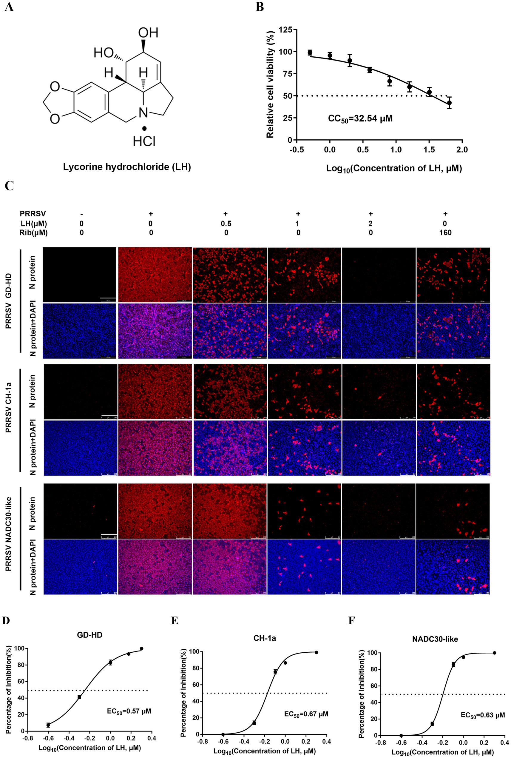 Frontiers | Early boosting of p38 MAPK signaling pathway by