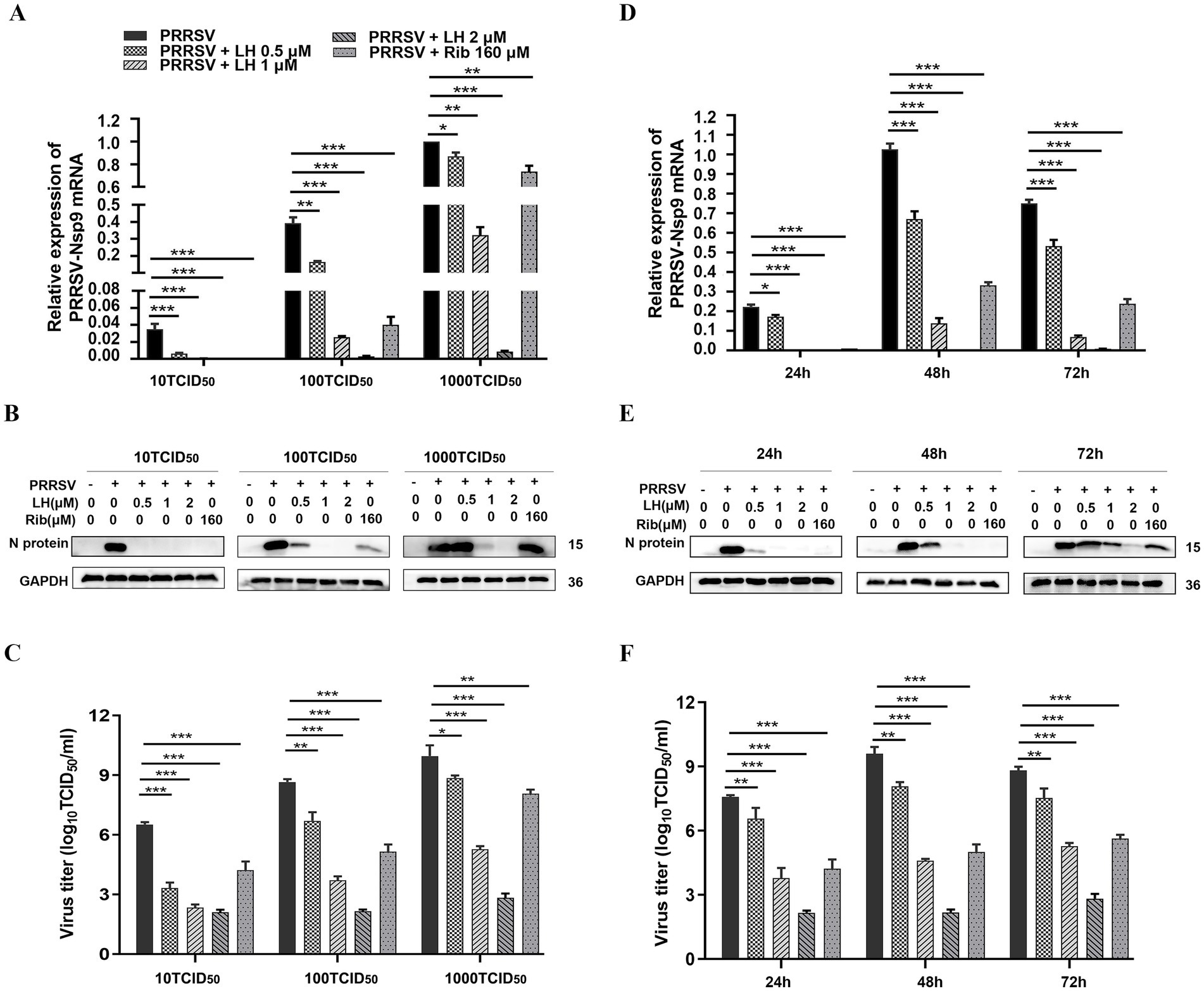 Grouped images showing data on PRRSV (Porcine Reproductive and Respiratory Syndrome Virus) and effects of LH and Rib treatments. (A, D) Bar graphs highlighting relative expression of PRRSV-Nsp9 mRNA across different conditions and times with significance indicators. (B, E) Western blots displaying N protein expression and GAPDH as a loading control under varying treatments and times. (C, F) Bar graphs depicting virus titer levels (log10 TCID50/ml) with statistical significance marked.
