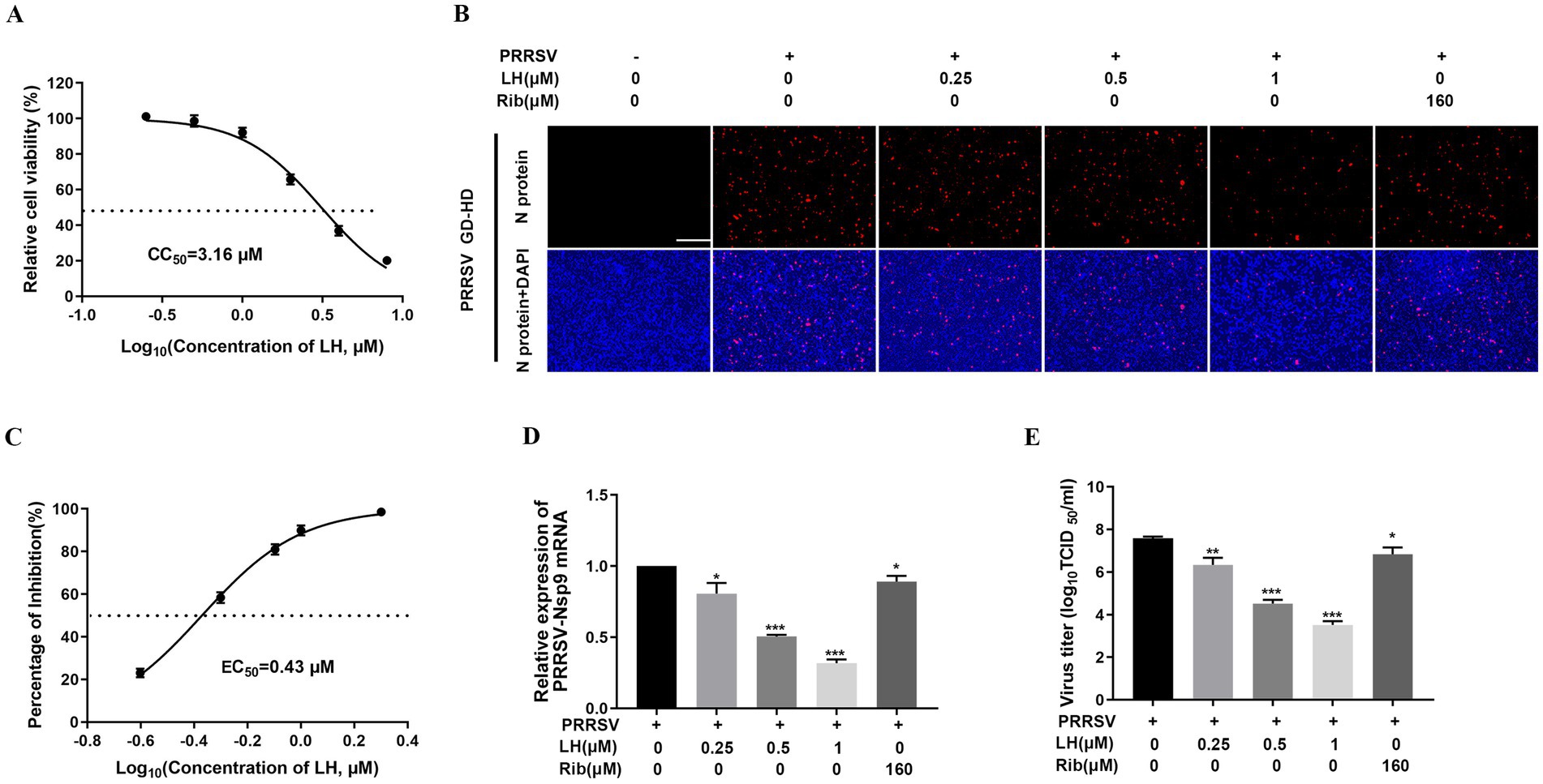 Panel A shows a dose-response curve for cell viability with LH concentration, indicating a CC50 of 3.16 micromolar. Panel B includes fluorescence microscopy images of PRRSV proteins at varying LH and Rib concentrations. Panel C displays an inhibition curve with an EC50 of 0.43 micromolar. Panel D is a bar graph of PRRSV-Nsp9 mRNA expression at different concentrations. Panel E presents a bar graph of virus titers with varying treatments. Statistical significance is indicated by asterisks.