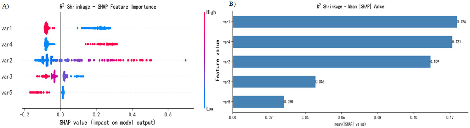 Panel A shows a SHAP feature importance plot for five variables, with var1 having the highest positive impact and var5 the least. Panel B displays a bar chart of mean SHAP values, where var1 ranks highest.