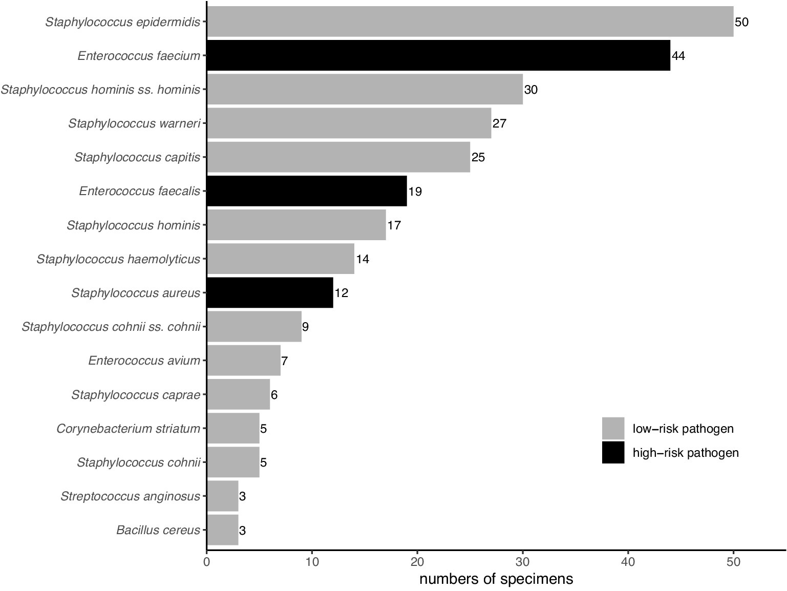 Horizontal bar chart depicting the number of specimens for different pathogens. Staphylococcus epidermidis (50) and Enterococcus faecium (44) are the most frequent, marked as low-risk and high-risk respectively. Other pathogens include Staphylococcus hominis ss. hominis (30), Staphylococcus warneri (27), and Enterococcus faecalis (19). Low-risk pathogens are in gray, high-risk in black. Total specimens range from 3 to 50.