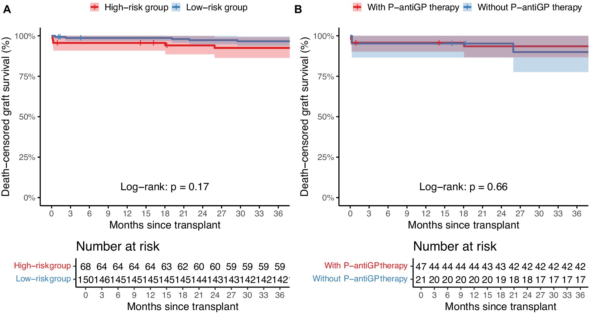 Kaplan-Meier survival curves comparing death-censored graft survival over 36 months post-transplant. Chart A contrasts high-risk and low-risk groups, with a non-significant p-value of 0.17. Chart B compares patients with and without P-antiGP therapy, showing a non-significant p-value of 0.66. Both graphs include a survival table below, detailing the number at risk at various time points.