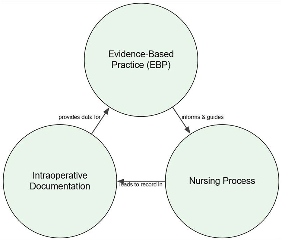 Diagram illustrating the relationship between evidence-based practice, the nursing process, and intraoperative documentation. Evidence-based practice informs and guides the nursing process, which leads to records in intraoperative documentation. Intraoperative documentation provides data for evidence-based practice, forming a cyclical connection.