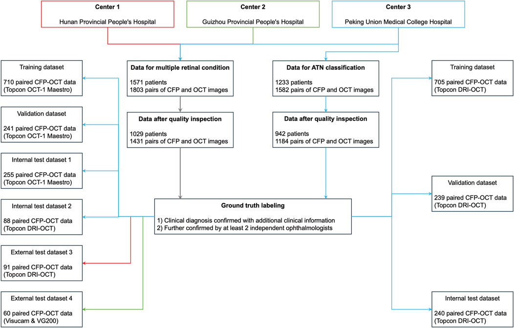 Flowchart illustrating the organization of data from three centers: Hunan Provincial People's Hospital, Guizhou Provincial People's Hospital, and Peking Union Medical College Hospital. Each center contributes datasets for training, validation, and testing using paired CFP-OCT data from different equipment. Data undergoes quality inspection and includes ground truth labeling confirmed by clinical diagnosis and independent ophthalmologists.