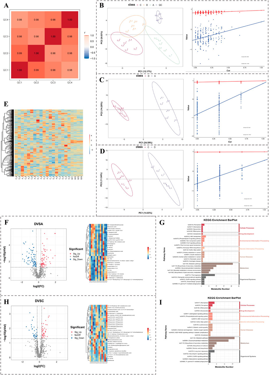 Composite image featuring multiple analytical charts and heatmaps. Panel A shows a correlation matrix with high positive values. Panels B, C, and D display PCA plots demonstrating data separation into classes, with scatter plots showing correlation of variables on the right. Panel E is a heatmap with hierarchical clustering. Panels F and H feature volcano plots for differential analysis, with associated heatmaps indicating significant variable changes. Panels G and I present KEGG enrichment bar plots, highlighting categories like cellular processes and metabolism.