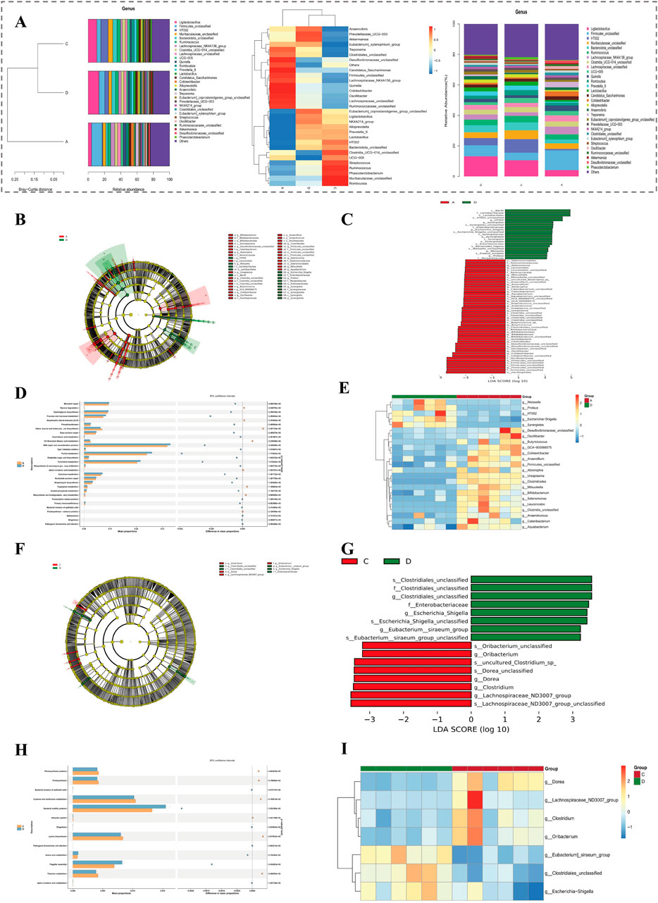 Various charts and dendrograms analyzing microbial communities, including bar charts, heatmaps, and cladograms. Sections are labeled A to I, featuring genus distribution, LDA scores, and hierarchical clustering, color-coded to distinguish groups C and D.