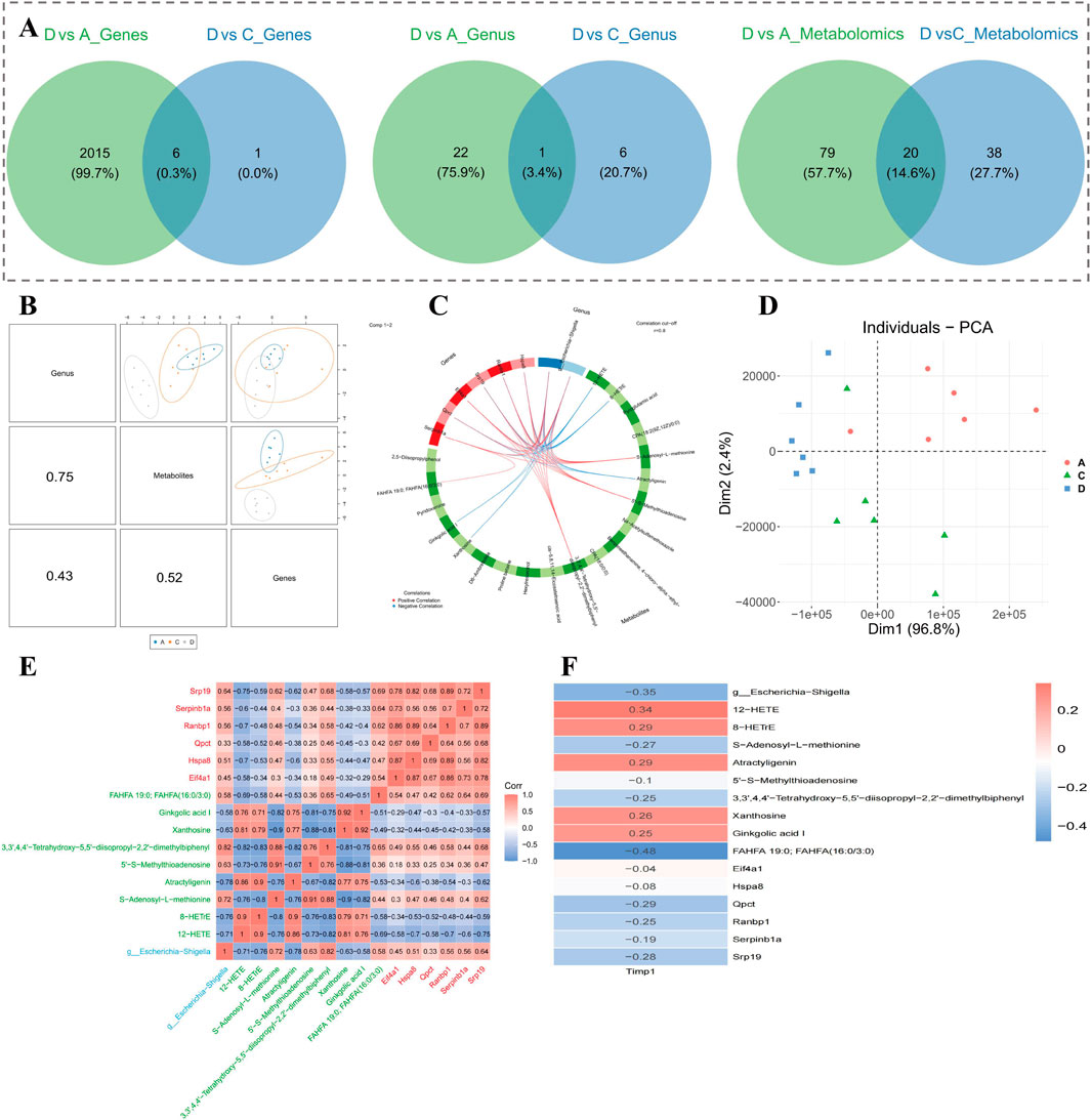 The image contains multiple panels related to data analysis in biological research. Panel A shows six Venn diagrams comparing genetic, genus, and metabolomic data between different groups, highlighting shared and unique elements. Panel B presents scatter plots with clusters reflecting relationships among variables like genus and metabolites. Panel C is a circular correlation plot indicating connections between various factors. Panel D shows a PCA scatter plot with distinct clusters labeled by group. Panel E displays a heatmap of correlation coefficients among genes and metabolites, color-coded from red to blue. Panel F offers a horizontal bar chart summarizing correlation values for specific items.