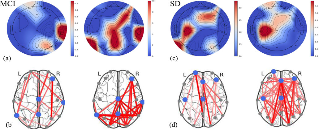 Two rows of brain activity images. Top row: two circular contour plots titled