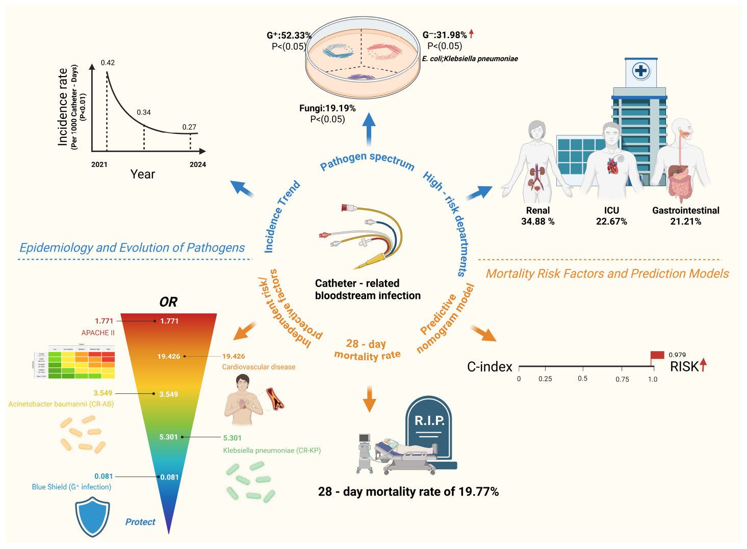 Infographic illustrating factors in catheter-related bloodstream infections. It shows a declining incidence rate from 2021 to 2024, pathogen spectrum details with E. coli and Klebsiella pneumoniae, and high-risk departments: renal (34.88%), ICU (22.67%), and gastrointestinal (21.21%). Mortality risk factors include APACHE II score, cardiovascular disease, with a predictive model indicating a 28-day mortality rate of 19.77%. The C-index indicates risk prediction.