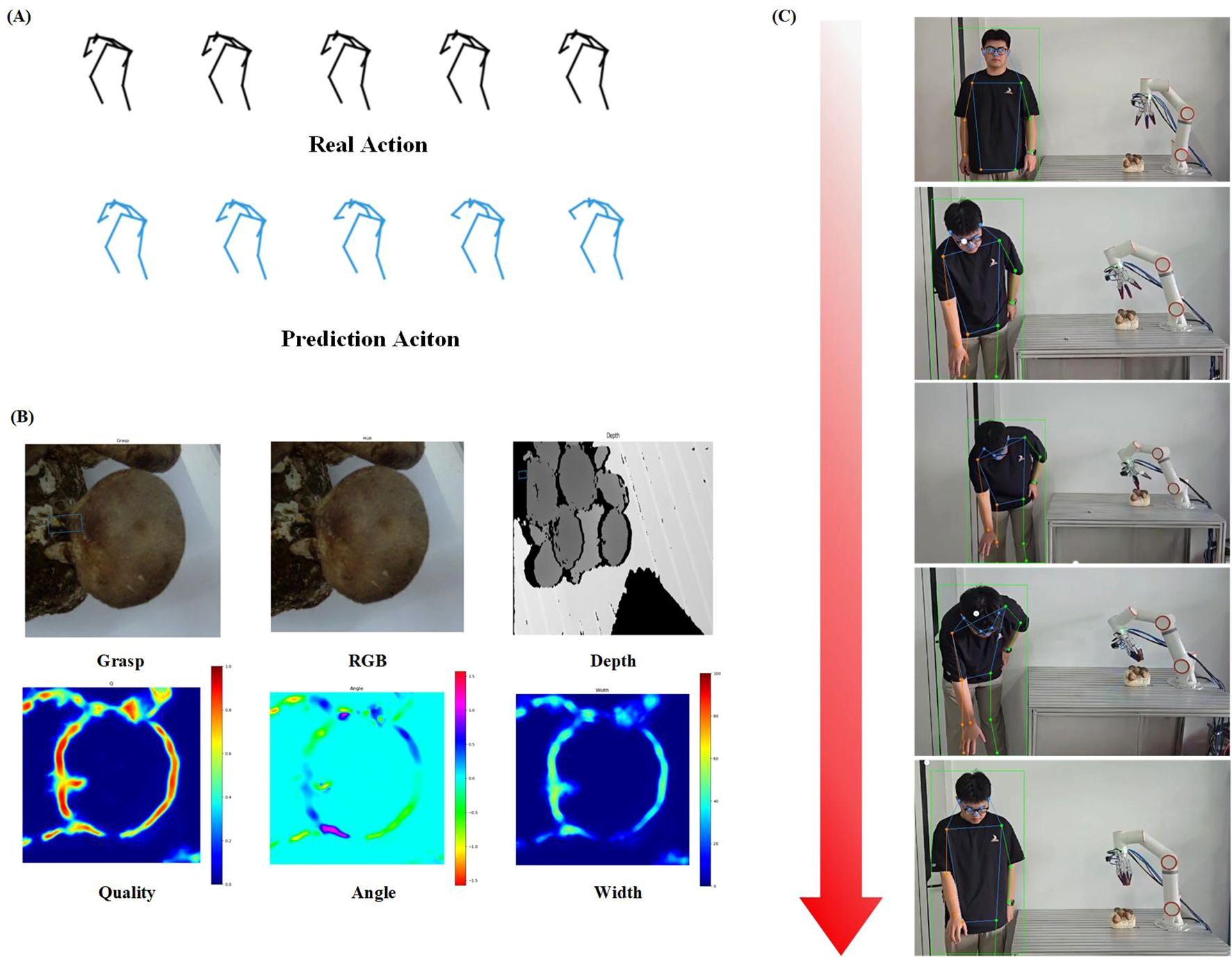 Panel (A) shows stick figure sketches comparing real and predicted actions. Panel (B) includes images of a mushroom for grasp, RGB, and depth views with corresponding quality, angle, and width heatmaps. Panel (C) shows a sequence of images depicting a person interacting with a robotic arm next to a mushroom on a table, with an arrow indicating progression.