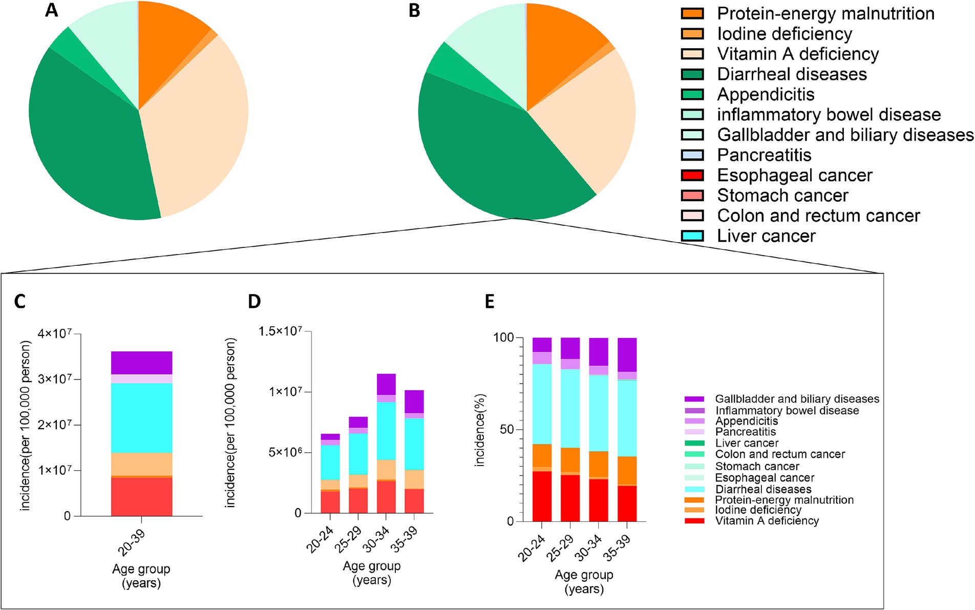 Figure 1 presents the proportional burden of twelve diet-related diseases among Chinese adults aged 20-39 in 2010 (A) and 2021 (B), shown as pie charts. Panel (C) is a bar chart showing the absolute number of cases for each disease in 2021. Panel (D) is a stacked bar chart displaying the total disease burden (number of cases) distributed across five-year age groups (20-24, 25-29, 30-34, 35-39) in 2021. Panel (E) uses stacked area charts to show how the proportion of specific diseases (e.g., gallbladder diseases, vitamin A deficiency) varies across the same age groups in 2021.