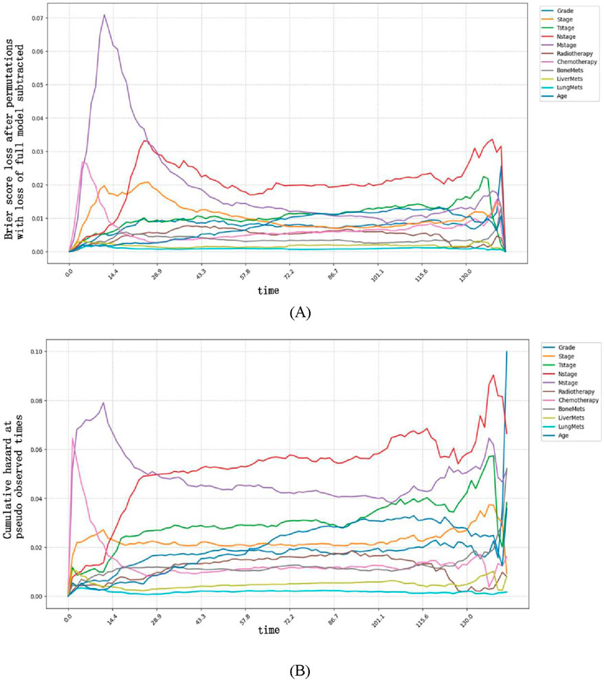 Chart (A) shows a line graph of Brier score loss over time with different categories like grade, stage, and therapies. The red line represents a significant peak. Chart (B) displays cumulative hazard over time for the same categories. Both graphs have a legend indicating each line's category by color.