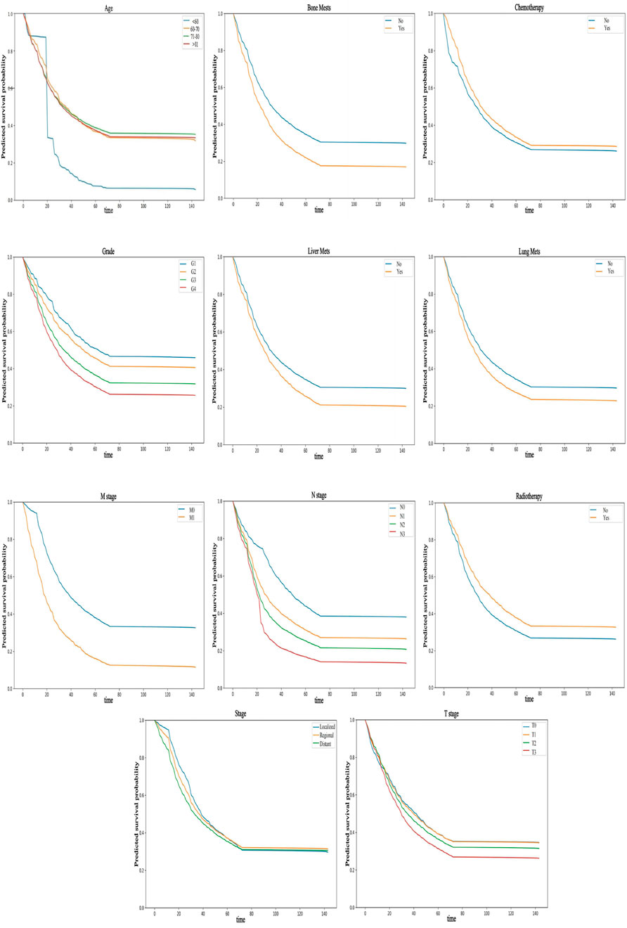 Nine survival probability graphs show different factors affecting survival over time, including age, bone and liver metastases, chemotherapy, grade, lung metastases, M and N stages, radiotherapy, stage, and T stage. Each graph compares survival probabilities based on specific categories within these factors.
