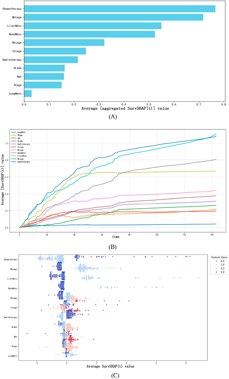 (A) Bar chart showing features' SurvSHAP values, with chemotherapy and stage-related factors having the highest impact. (B) Line graph of SurvSHAP values over time for various features, showing chemotherapy and metastatic stages have rising influence. (C) Swarm plot of SurvSHAP values by feature, colored by value intensity, highlighting chemotherapy's variability.