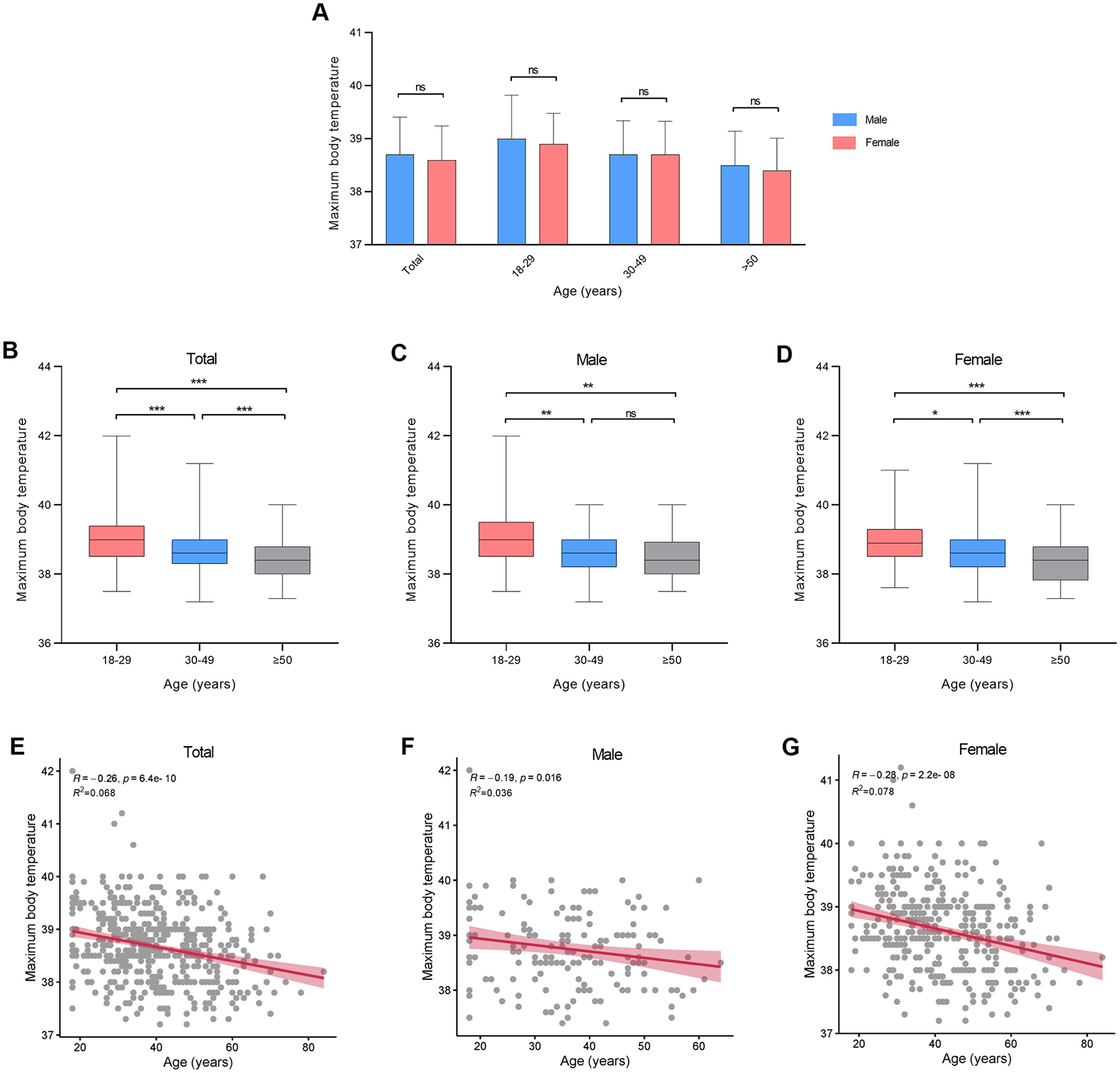 Seven graphs depict maximum body temperature variations by age and gender. Graph A shows bar charts for total, male, and female temperatures across age groups, with no significant differences (ns). Graphs B, C, and D present box plots of maximum temperatures for total, male, and female groups, highlighting significant differences with asterisks. Graphs E, F, and G show scatter plots with trend lines for total, male, and female maximum temperatures, indicating a negative correlation between age and temperature.