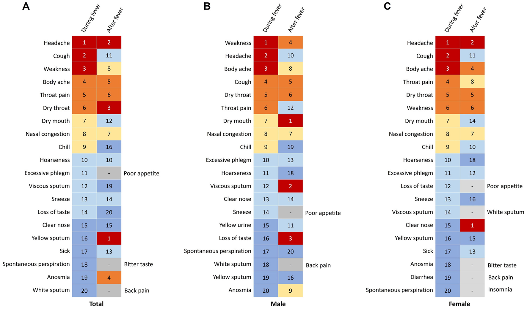 Three clustered heatmaps labeled A, B, and C show symptom frequency during and after fever for total, male, and female groups, respectively. Symptoms include headache, cough, and body ache, with varying numerical values indicating frequency. Red shades indicate higher frequency, and blue shades indicate lower frequency. Female group has additional symptoms like insomnia.