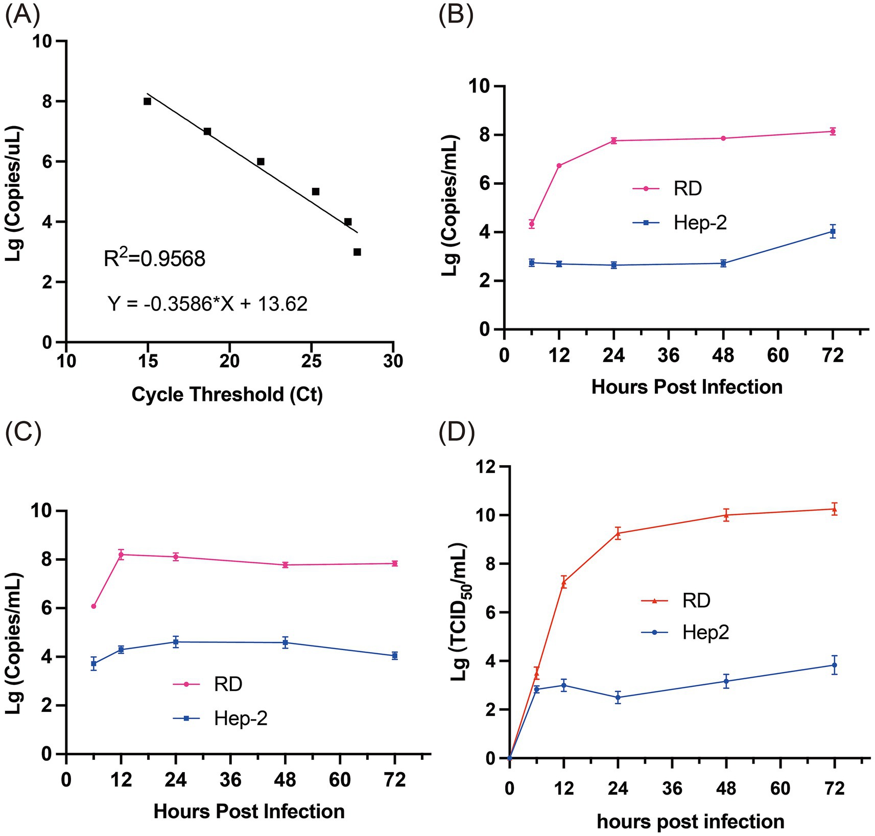 Four graphs labeled A, B, C, and D show viral data analysis. Graph A displays a linear relationship between cycle threshold (Ct) and viral copies, with an equation and R-squared value provided. Graphs B and C depict viral load (in copies per milliliter) over hours post-infection for RD and Hep-2 cell lines, showing higher values for RD. Graph D presents TCID\(_{50}\) values over time, indicating a higher viral titer in RD cells compared to Hep2. Error bars indicate data variability.