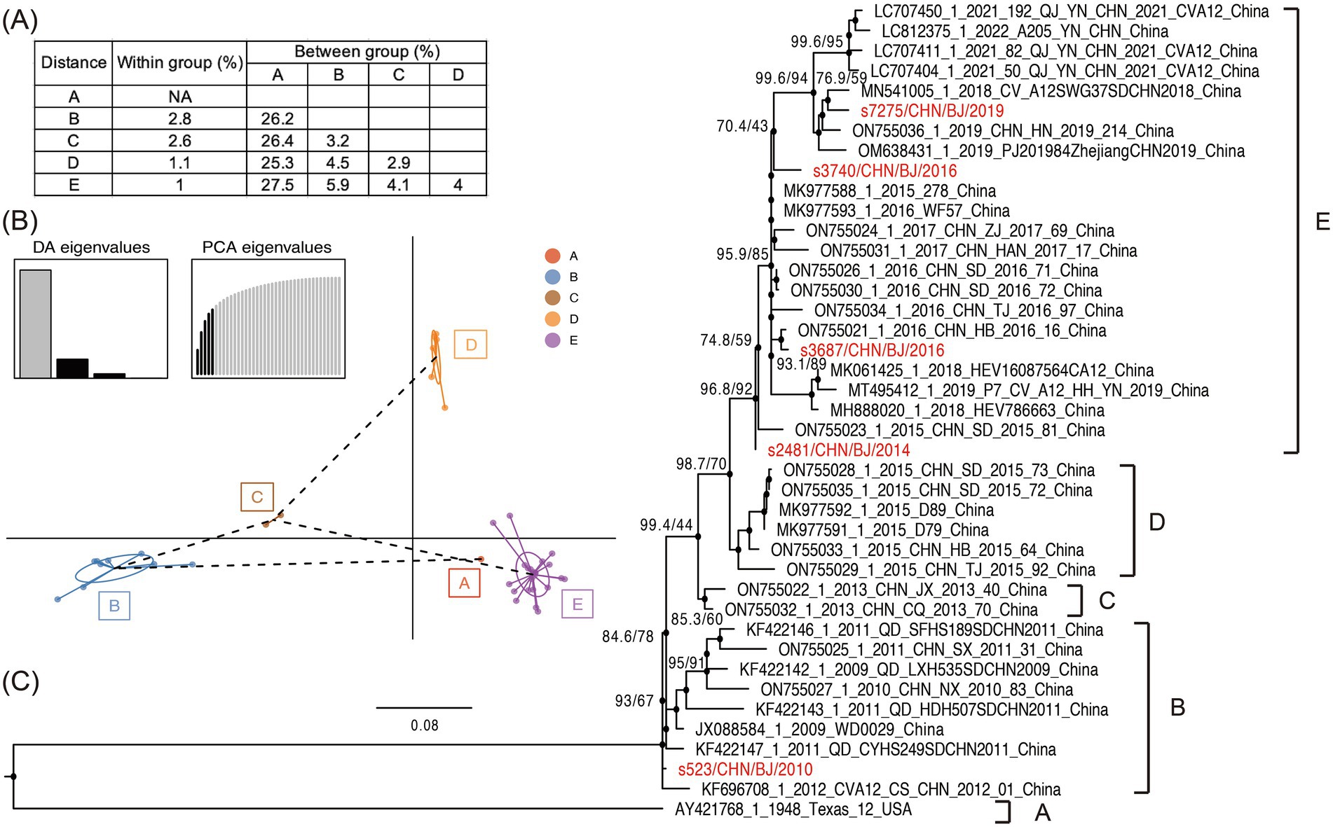 Panel A shows a table with genetic distances within and between five groups (A to E). Panel B includes DA and PCA eigenvalues with a scatter plot of genetic groupings: A, B, C, D, E. Panel C presents a phylogenetic tree depicting relationships among samples with labels indicating evolutionary distances.