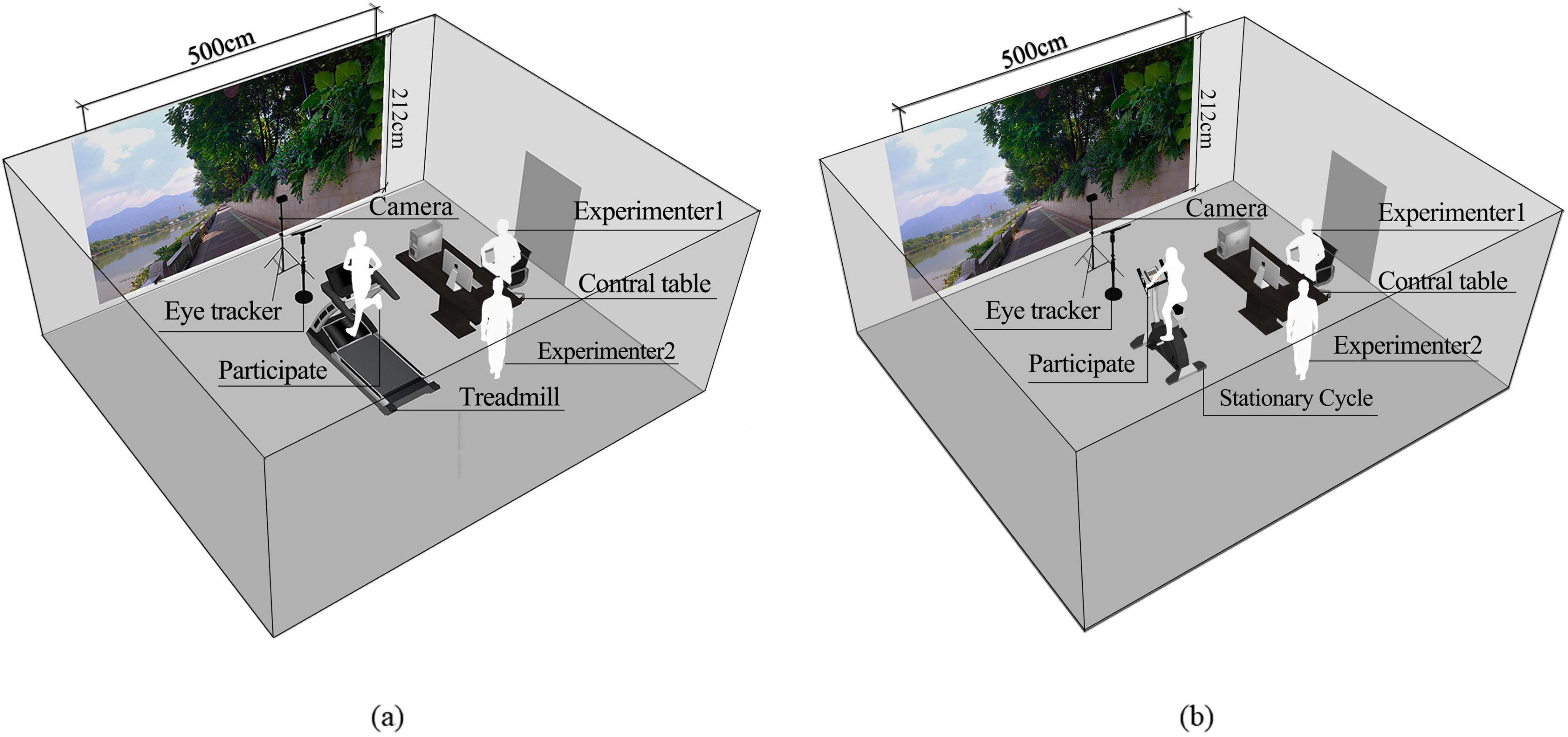 Diagram showing two experimental setups. (a) Features a treadmill setup with a participant, eye tracker, camera, and two experimenters at a control table in a 500cm by 212cm room. (b) Shows a similar setup with a stationary cycle instead of a treadmill. Both have a large screen displaying a scenic outdoor path.